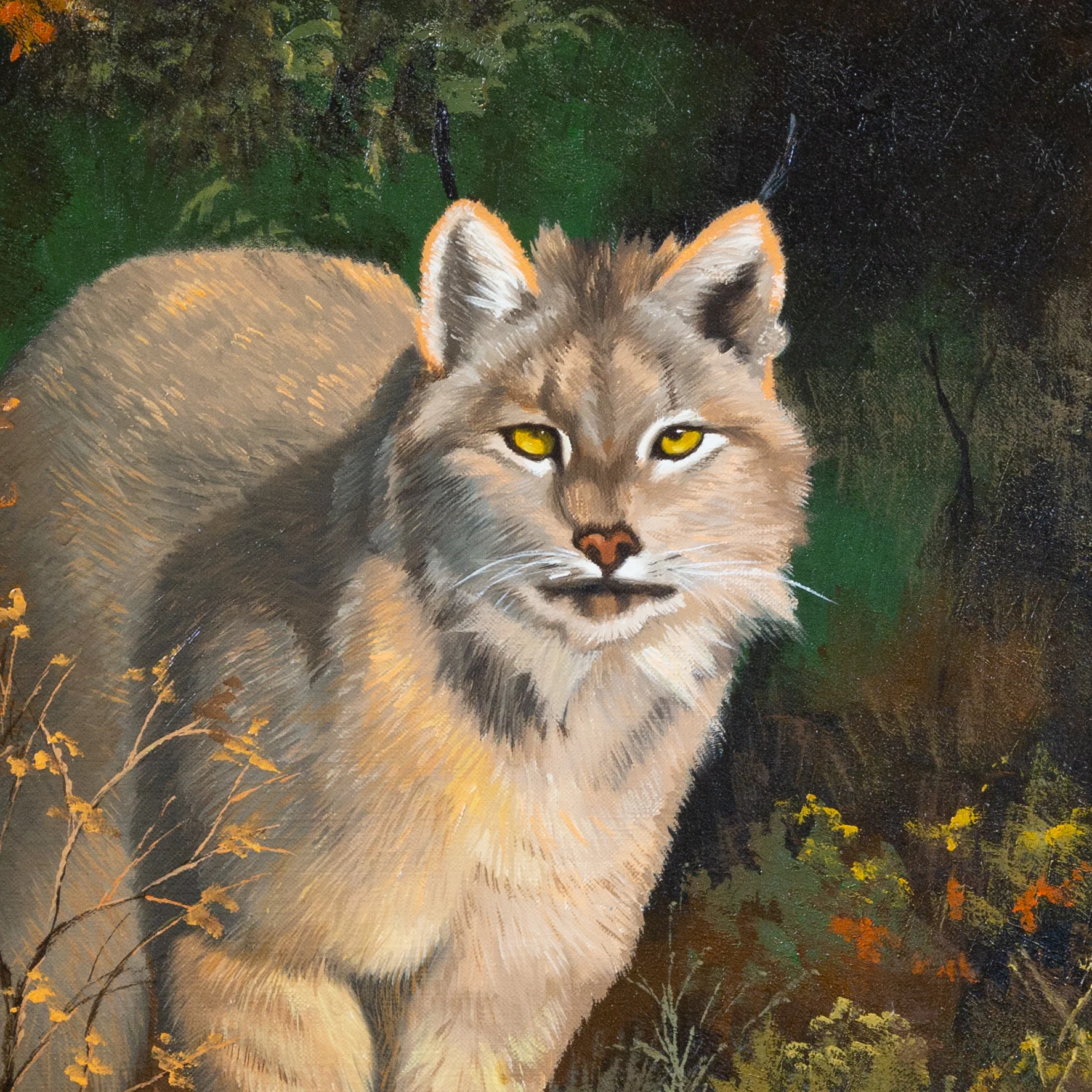 "American Lynx" by Peter Darro - Image 3