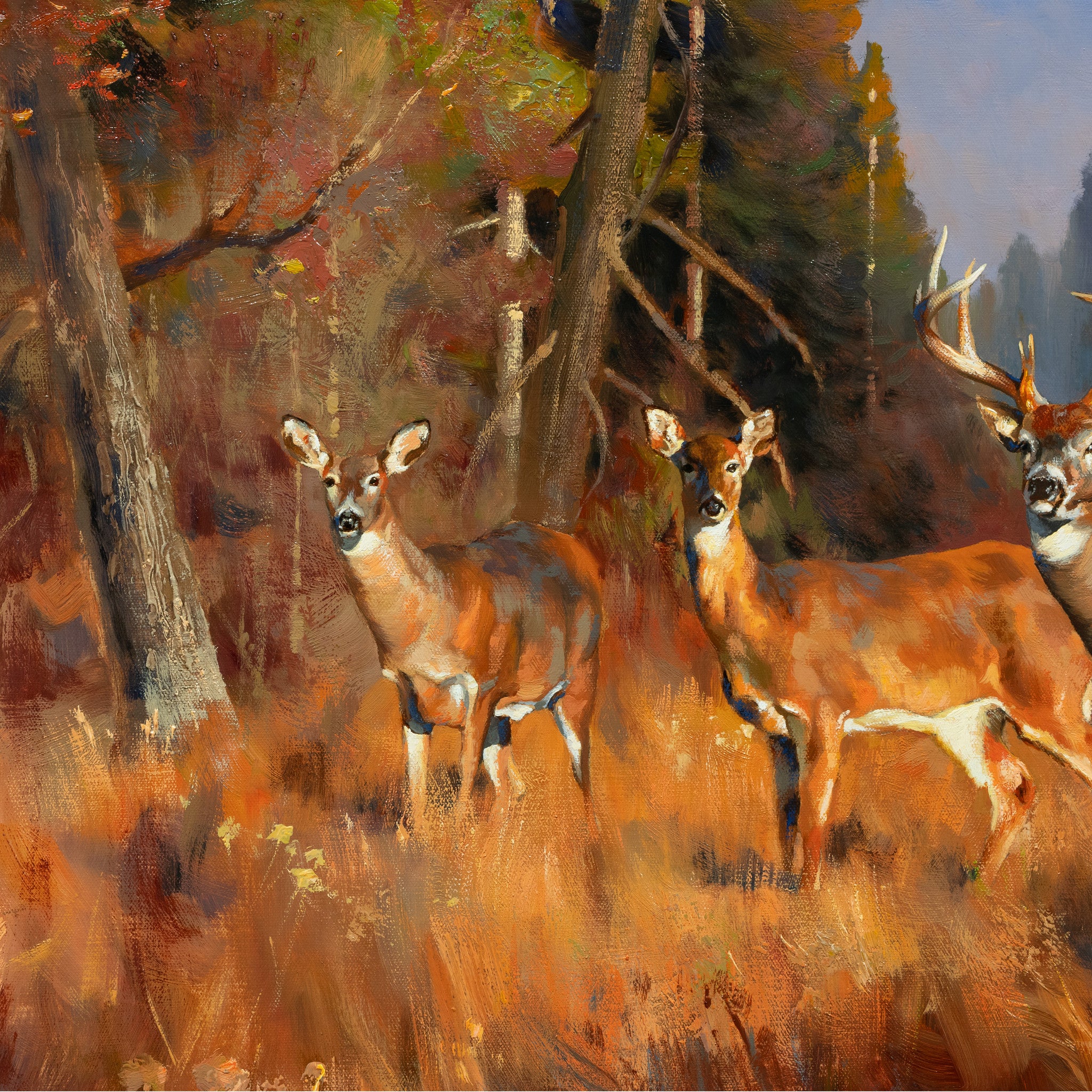 An Autumn Forest by Greg Parker - Image 3