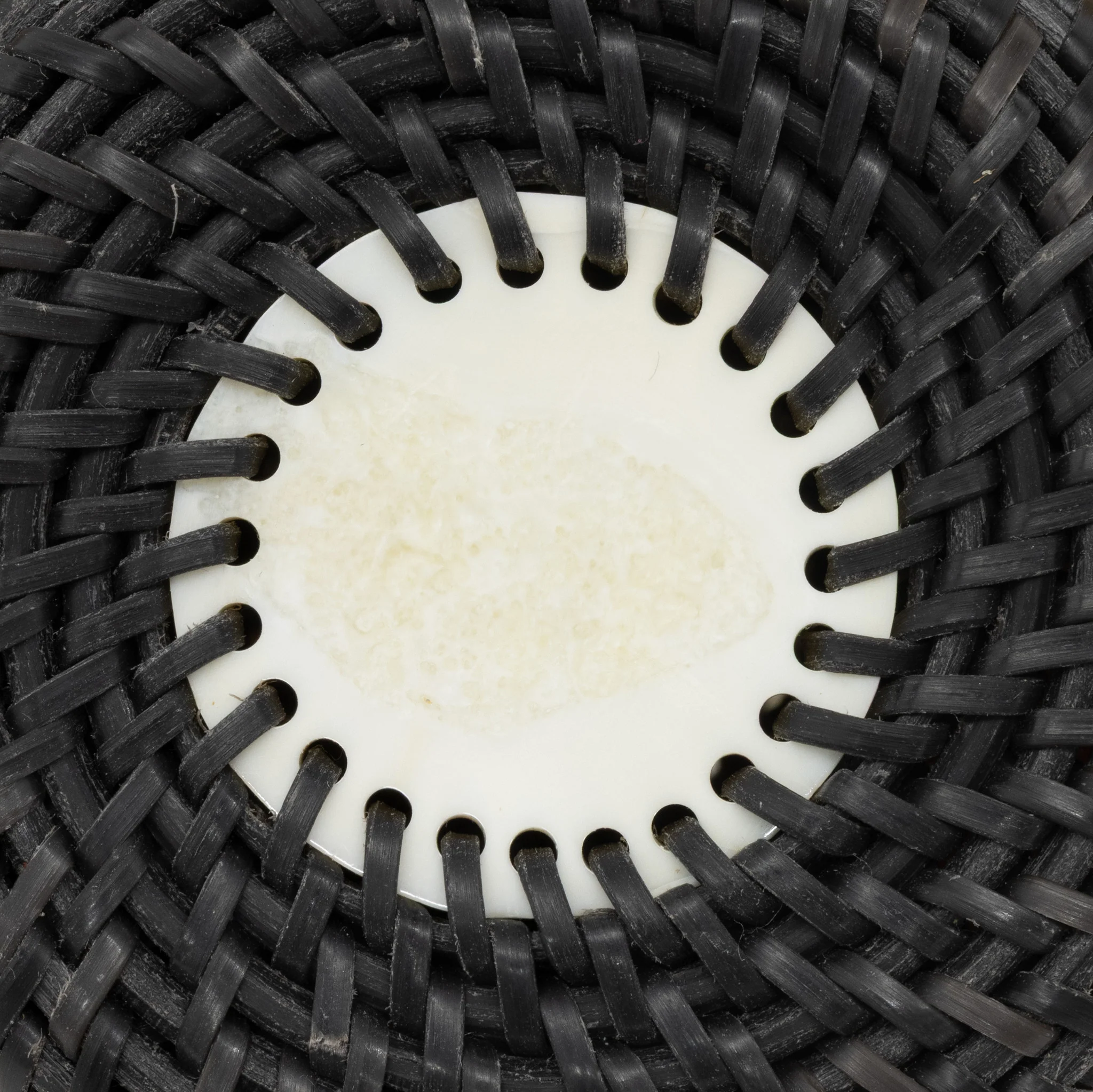 Baleen Basket by Carl E. Hank - Image 5