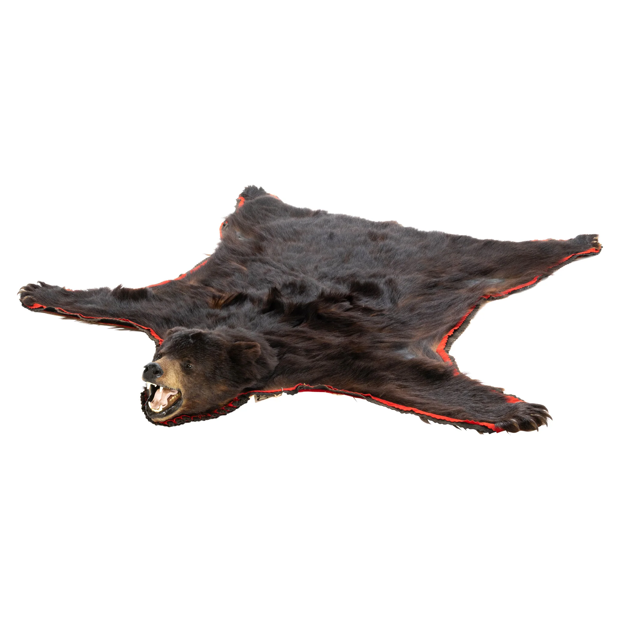 Black Bear Rug - Image 3