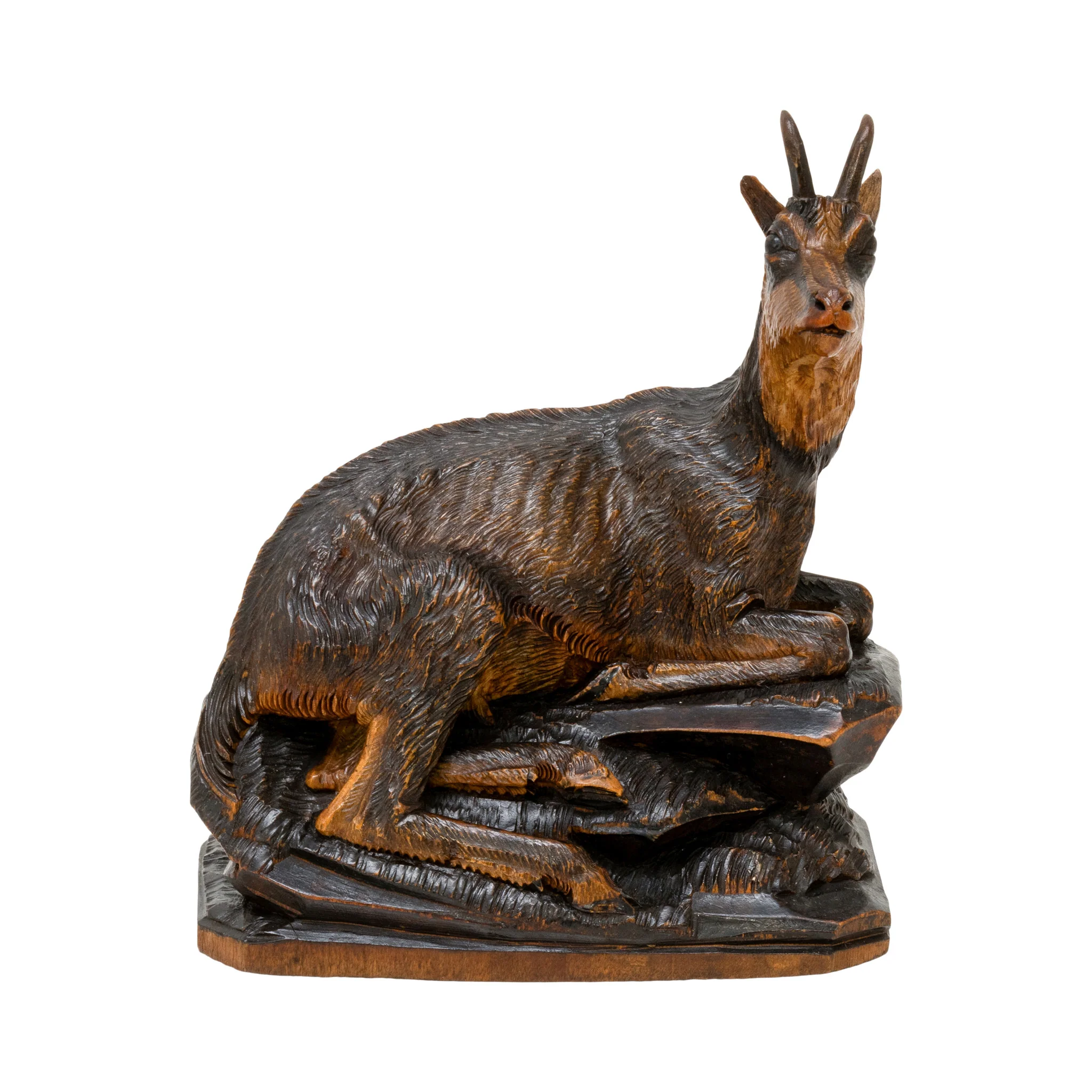 Black Forest Chamois