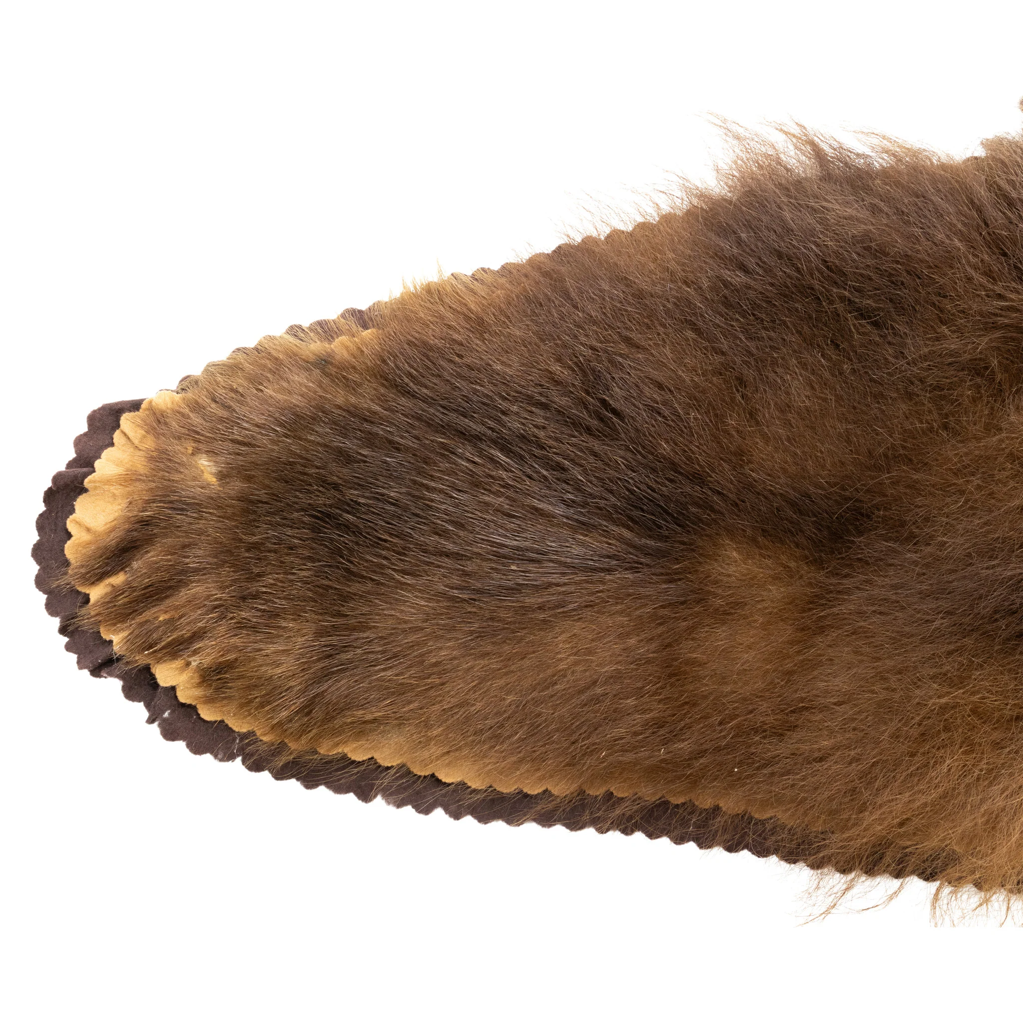 Brown Bear Rug - Image 5