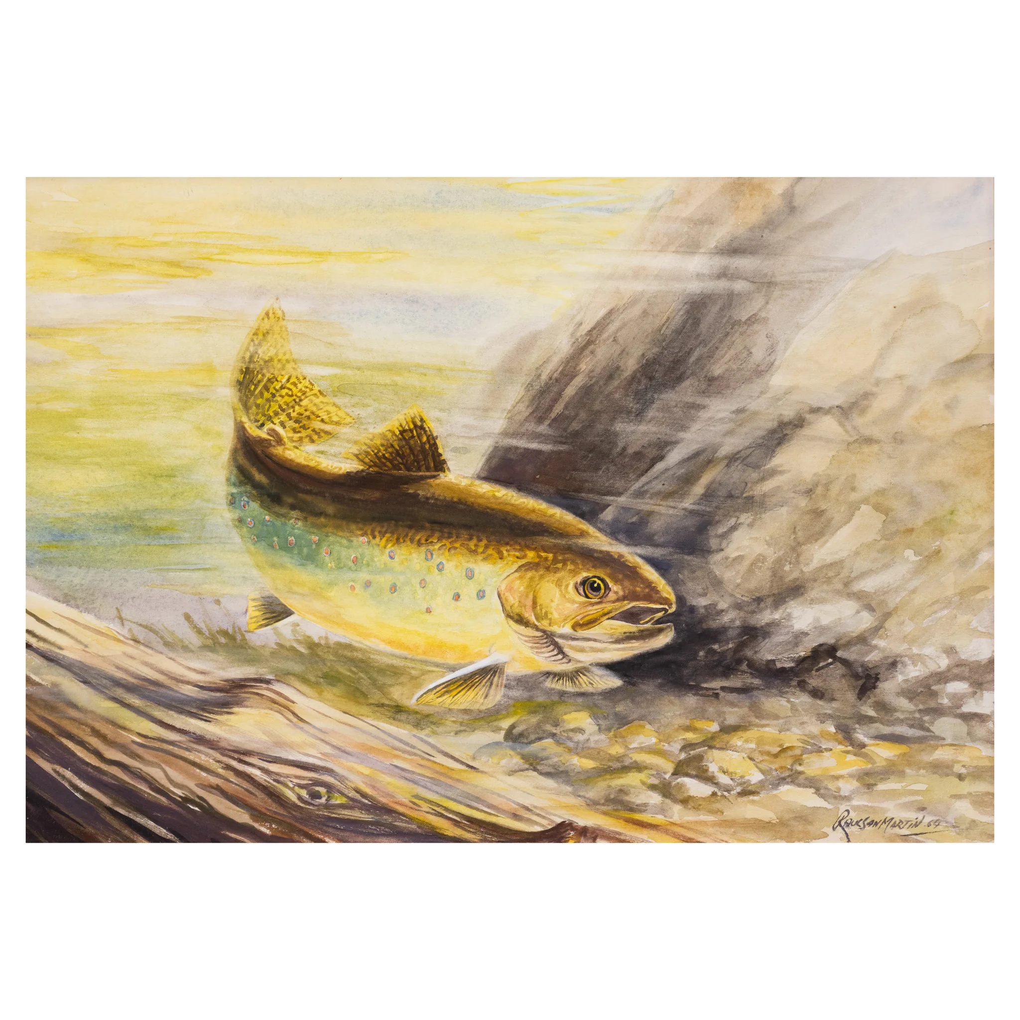 Brown Trout by Raul San Martin