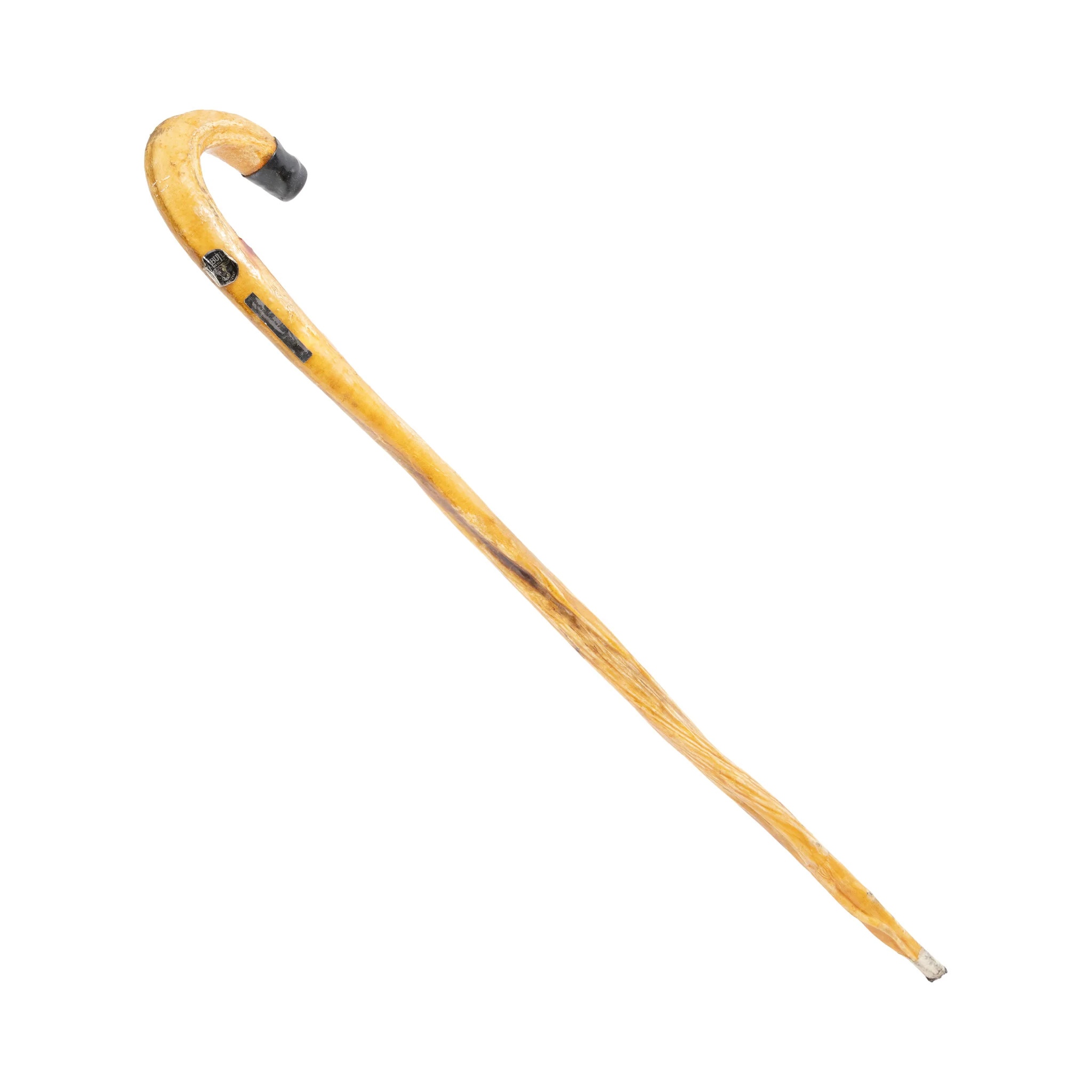 Bull Penis Cane - Image 3