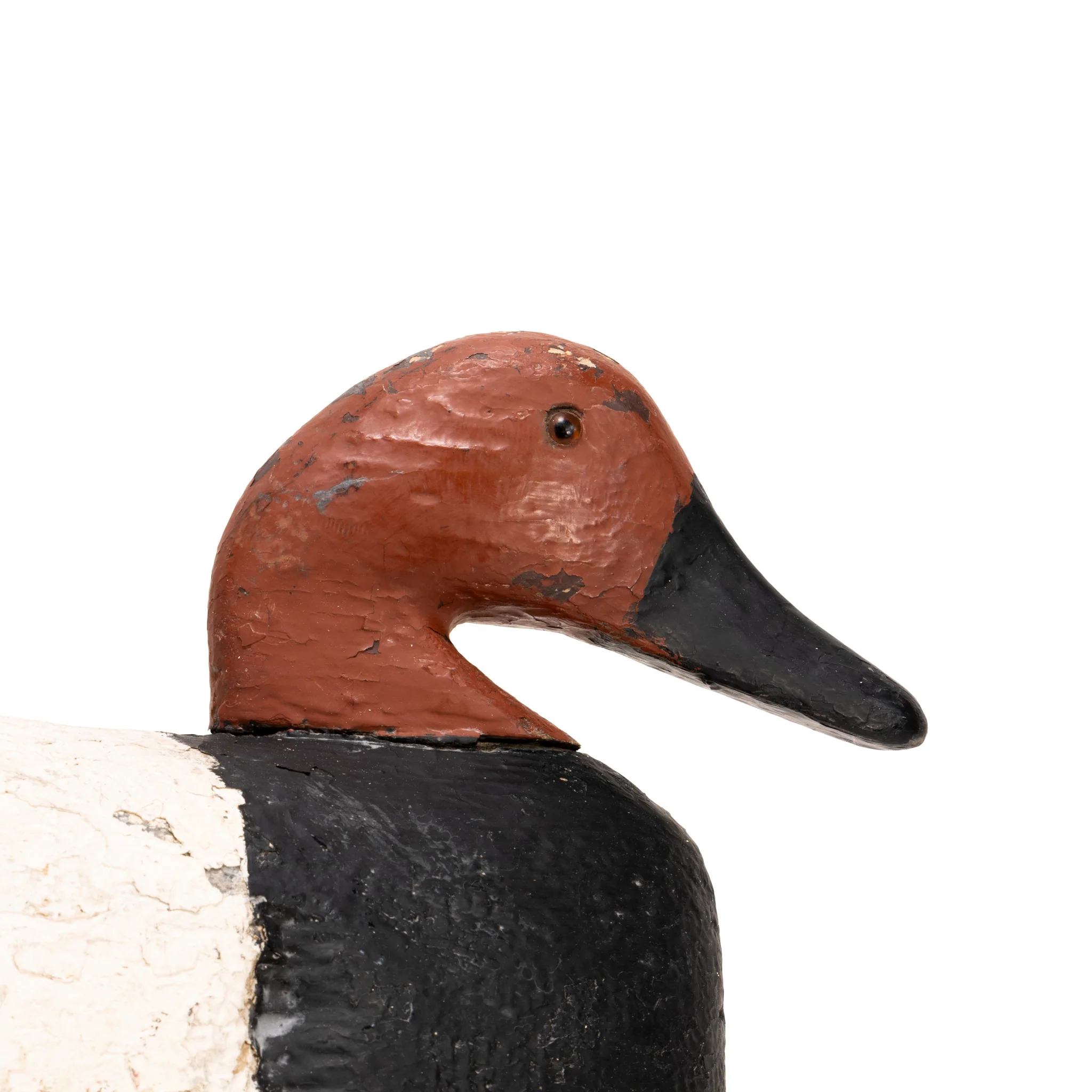 Canvasback Decoy - Image 3