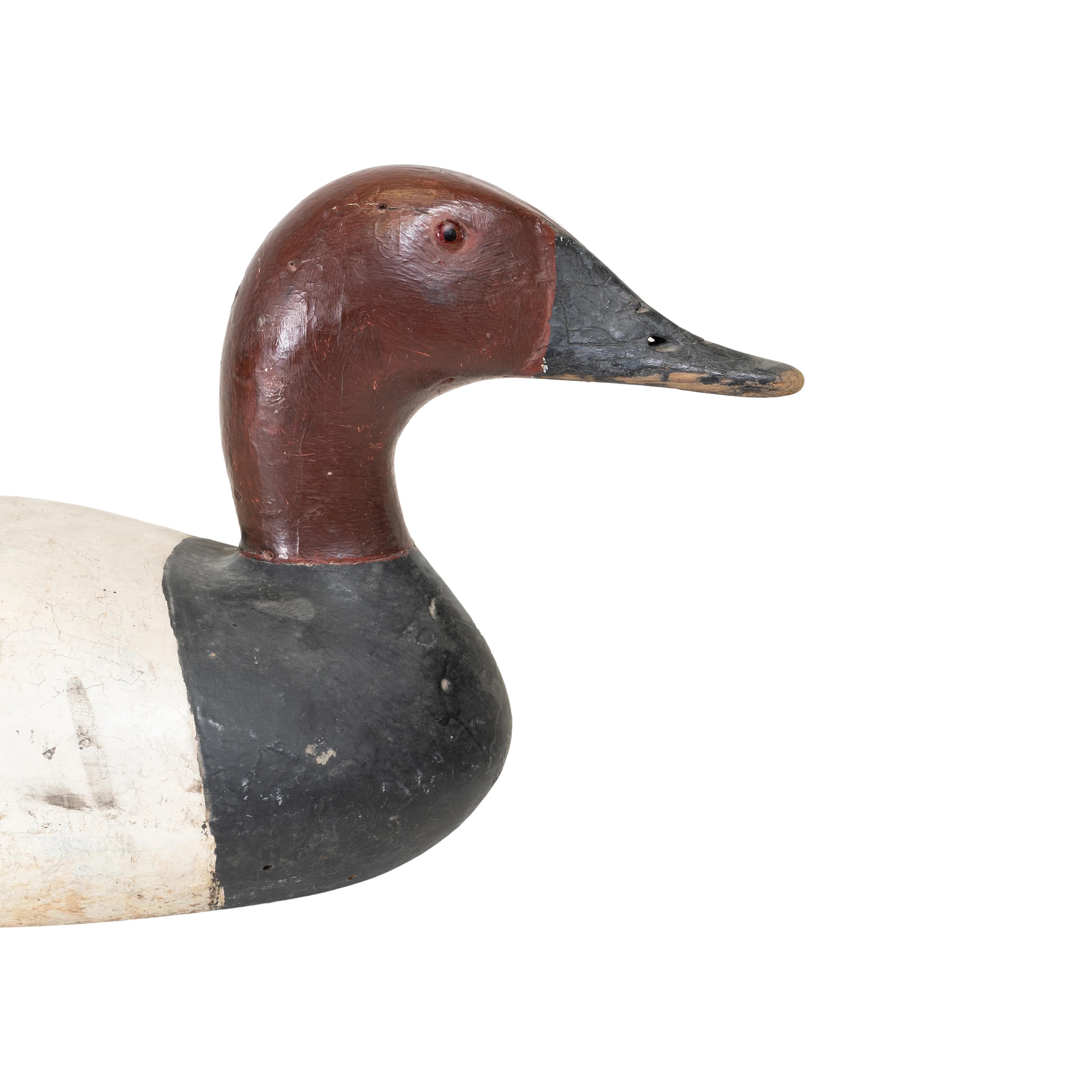Canvasback Drake Decoy - Image 3