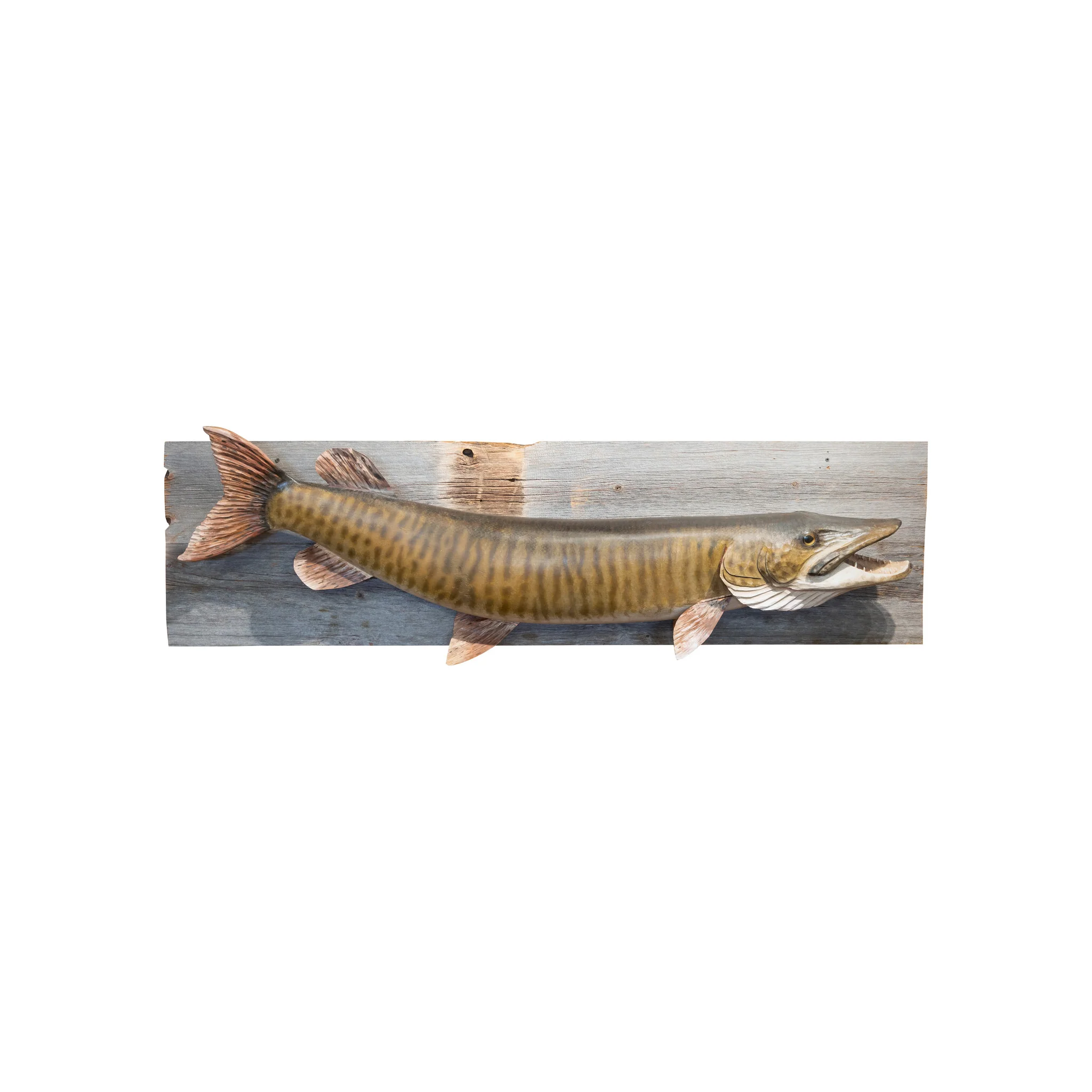 Carved and Painted Muskie Mount
