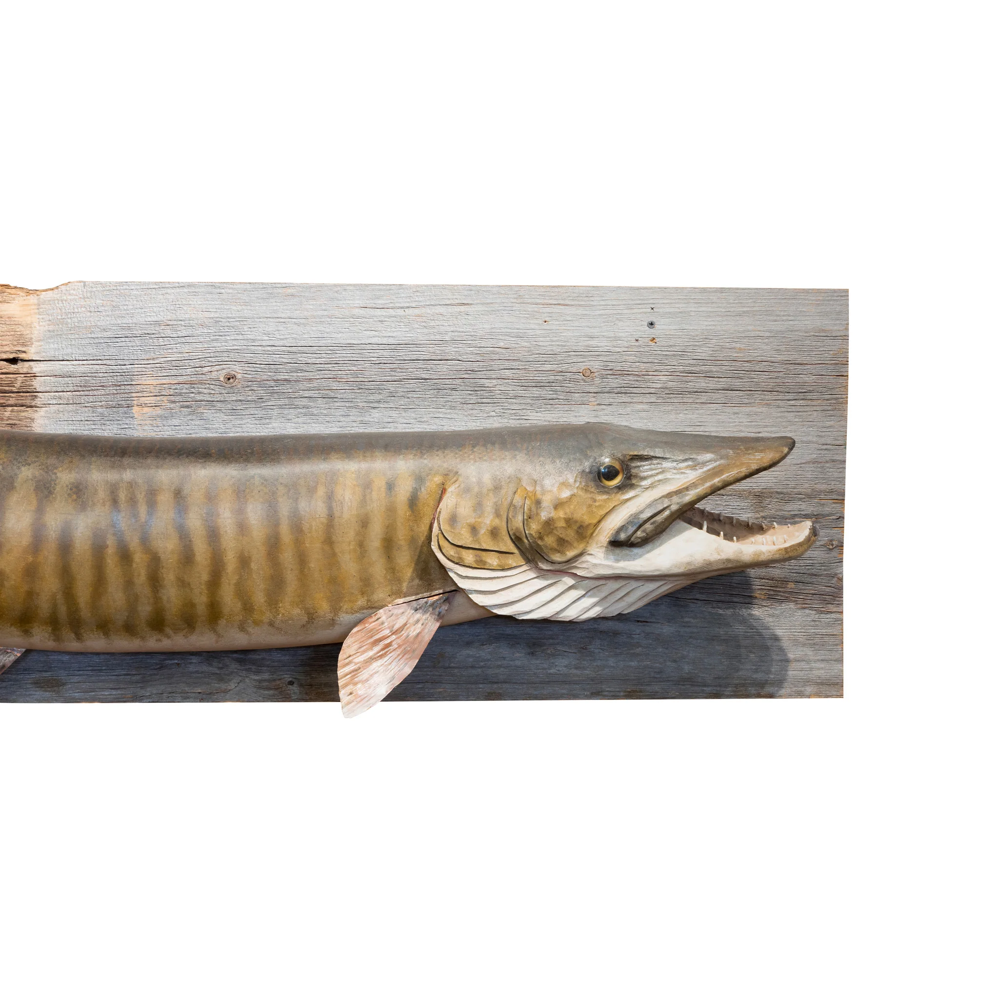 Carved and Painted Muskie Mount - Image 2