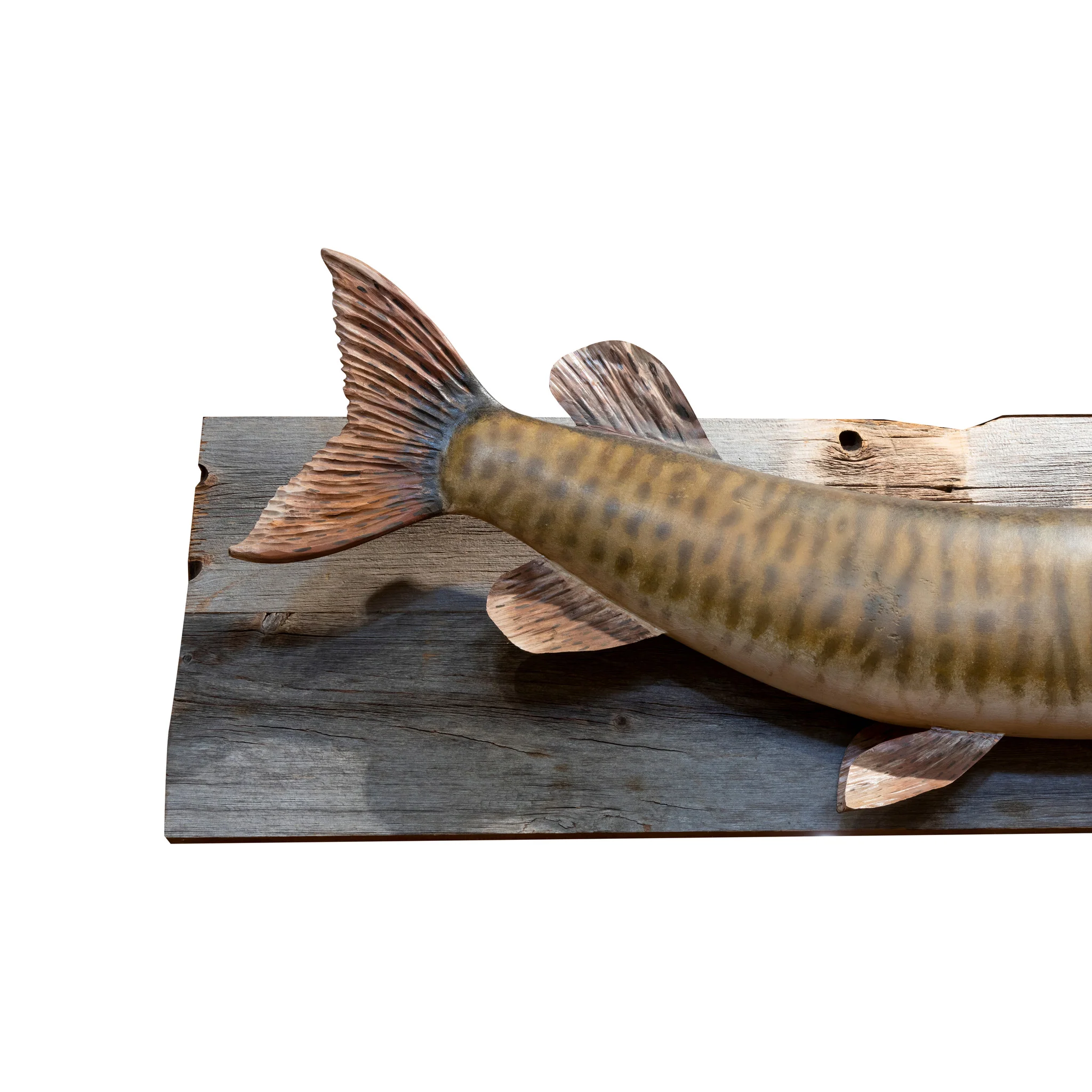 Carved and Painted Muskie Mount - Image 3