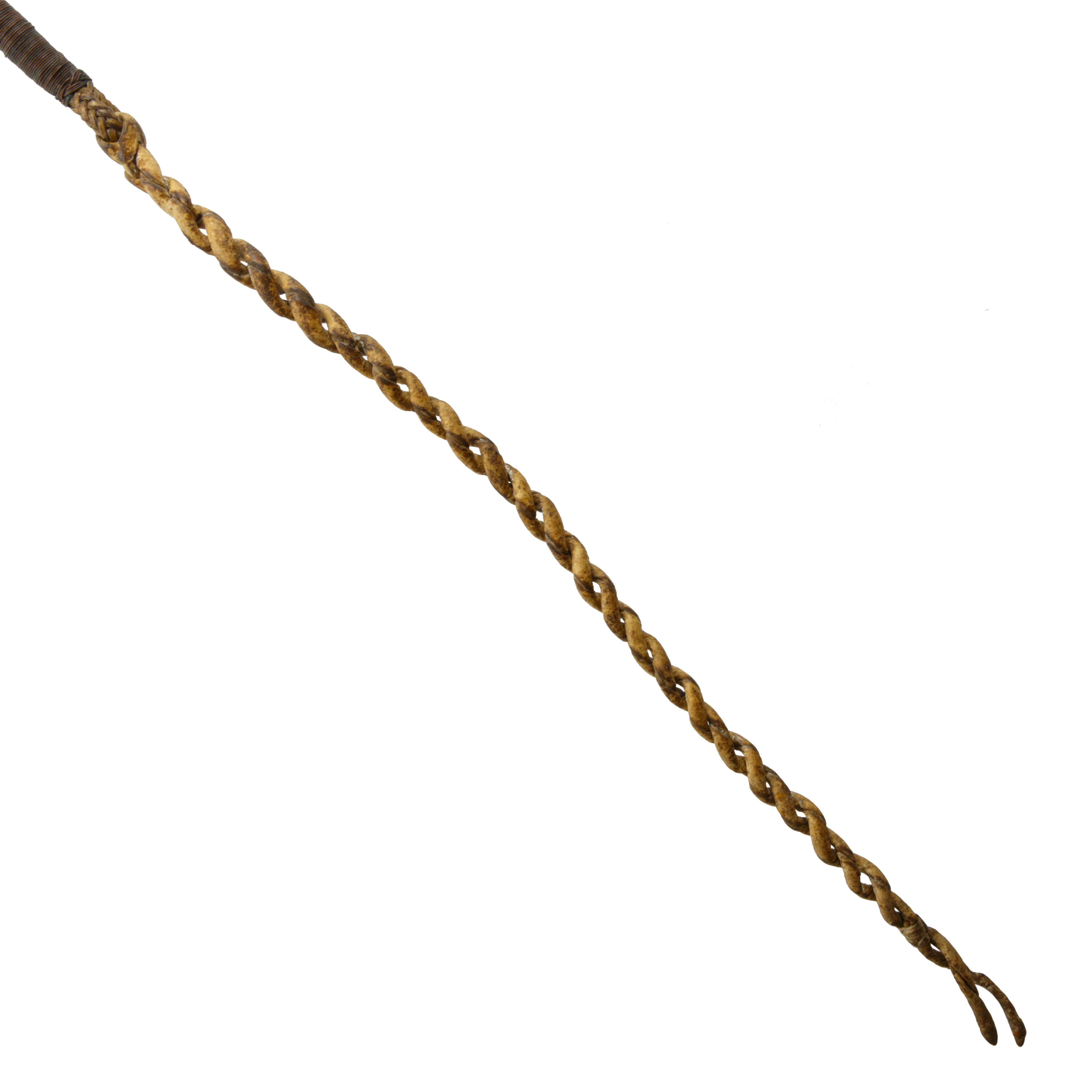 Colorado Quirt - Image 4
