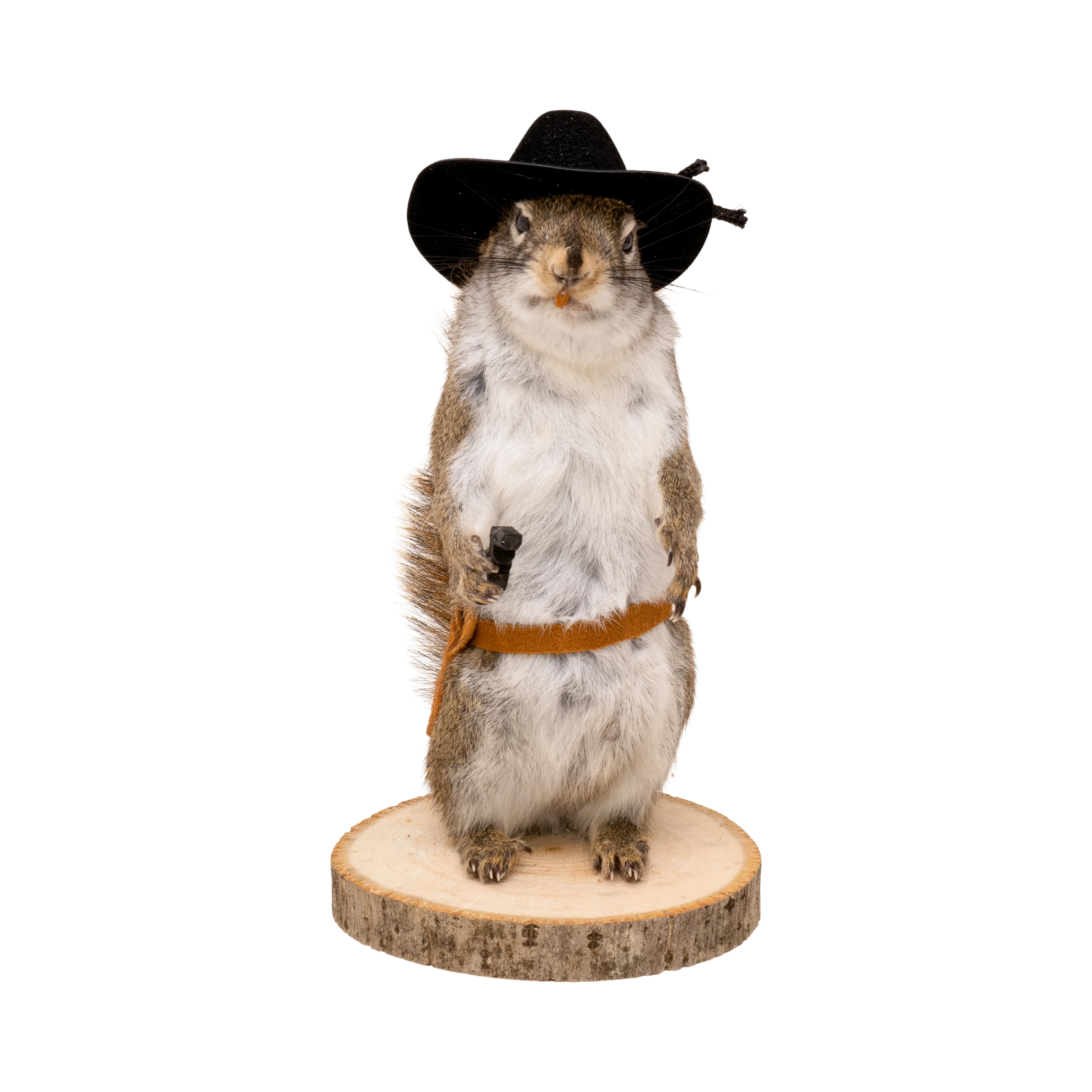 Cowboy Squirrel - Image 2