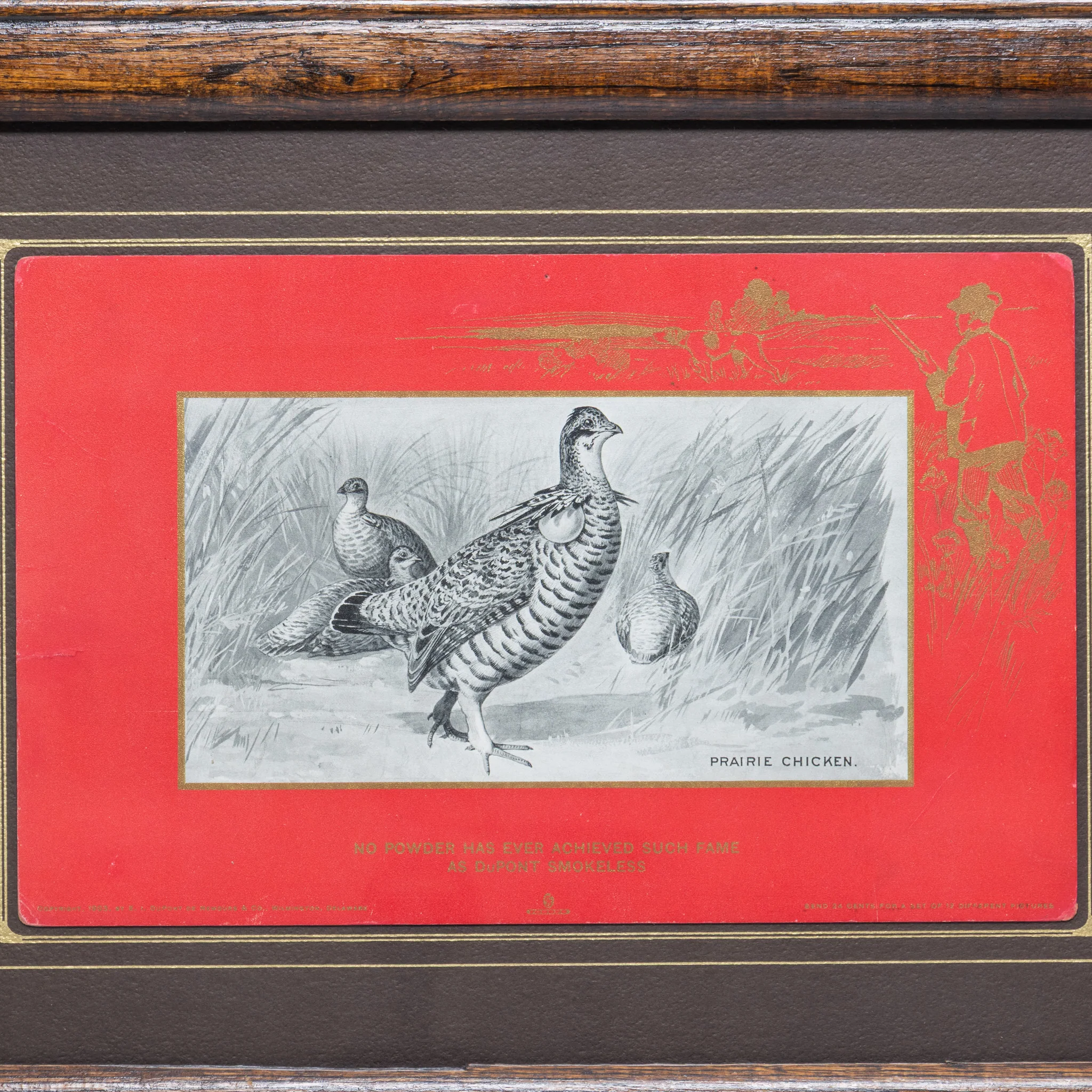 Dupont Advertising - Image 3