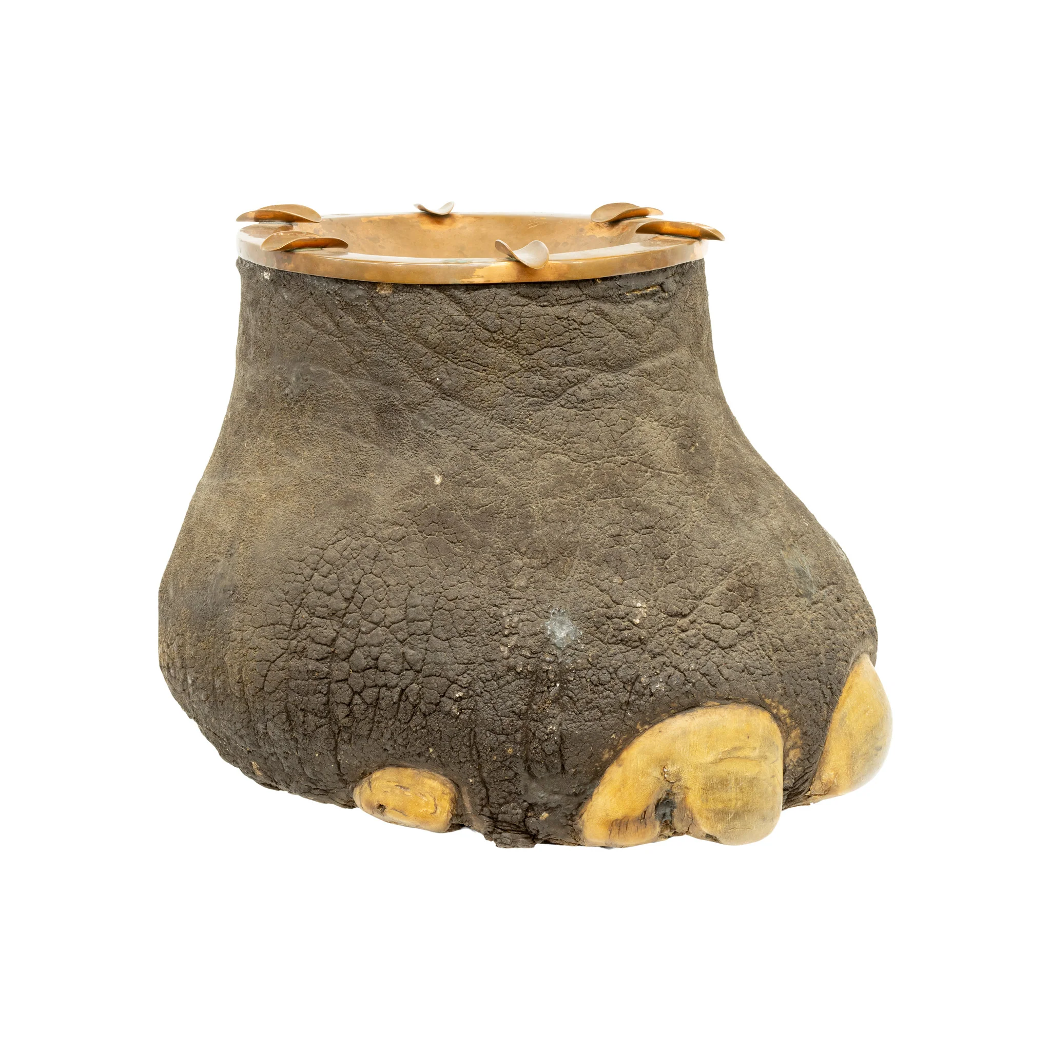 Elephant Foot Stand Liquor Cabinet - Image 2