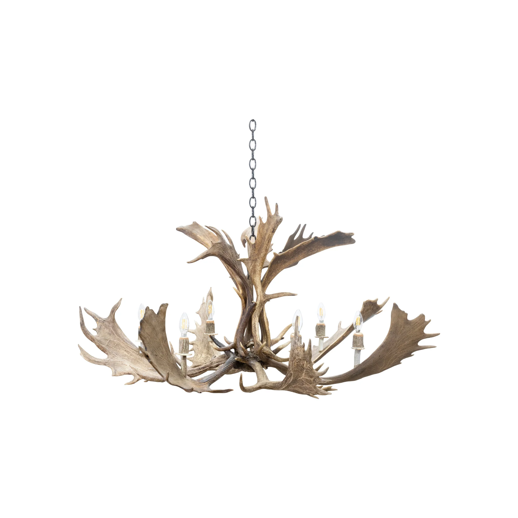 Fallow Deer Chandelier - Image 2