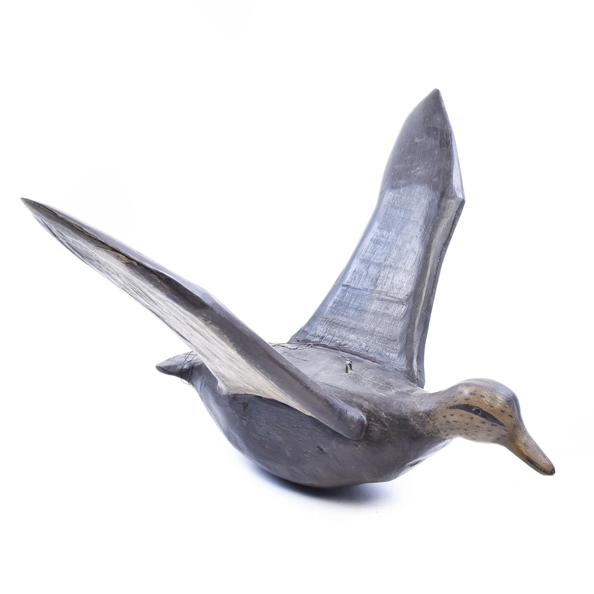 Flying Black Duck Decoy