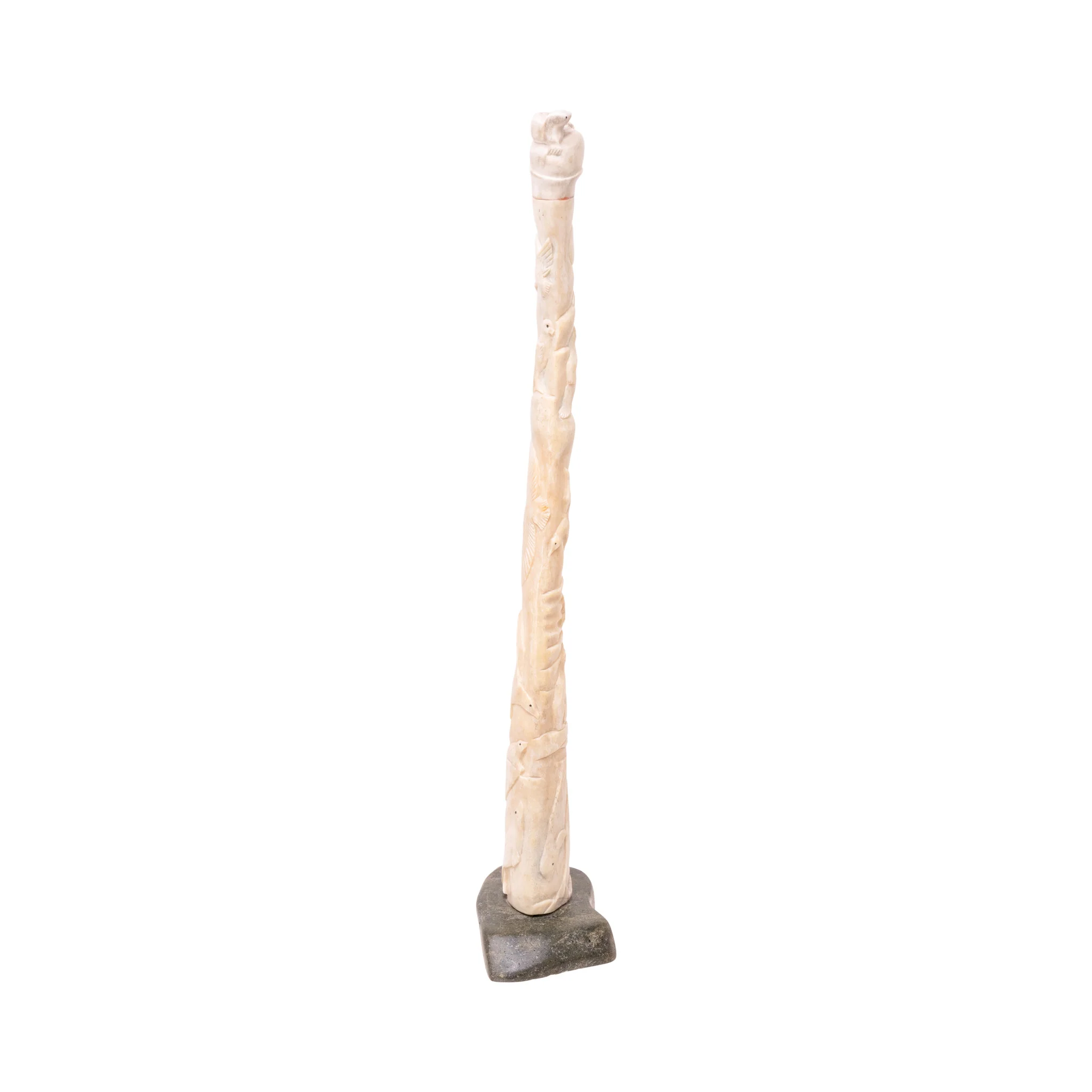 Fossilized Walrus Oosik - Image 4