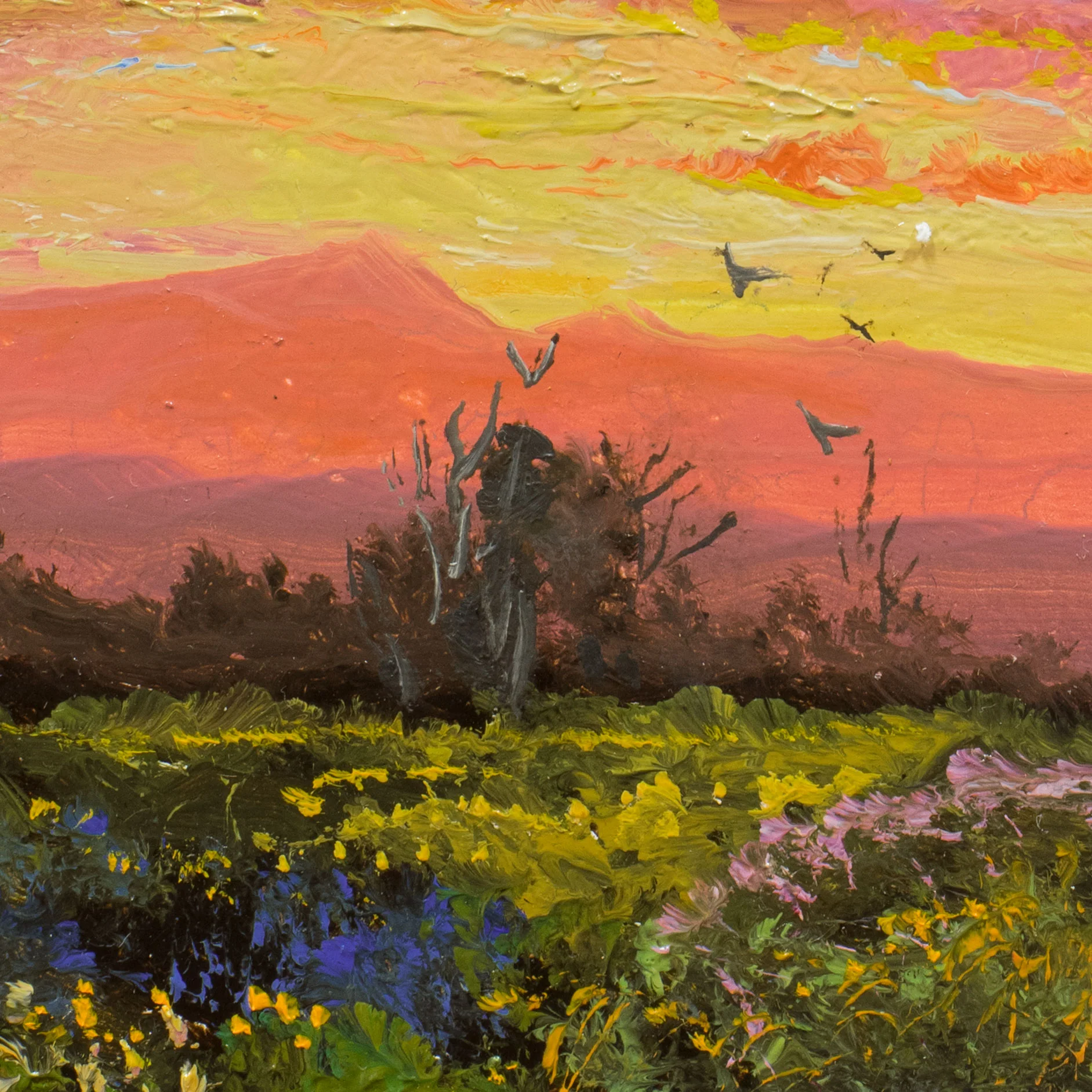 Glowing Sunrise by Thomas deDecker - Image 3