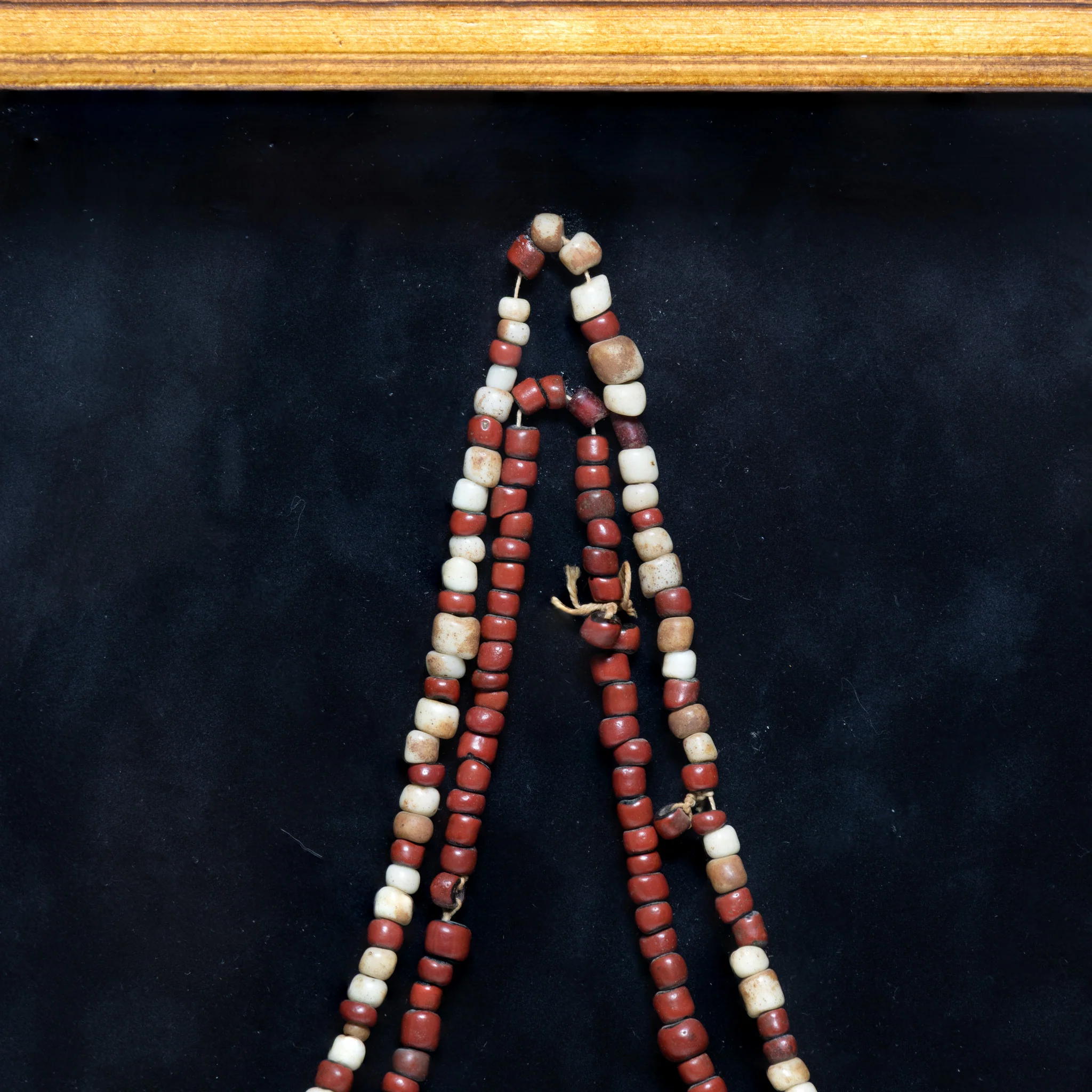Grizzly and Lion Claw Necklace - Image 4
