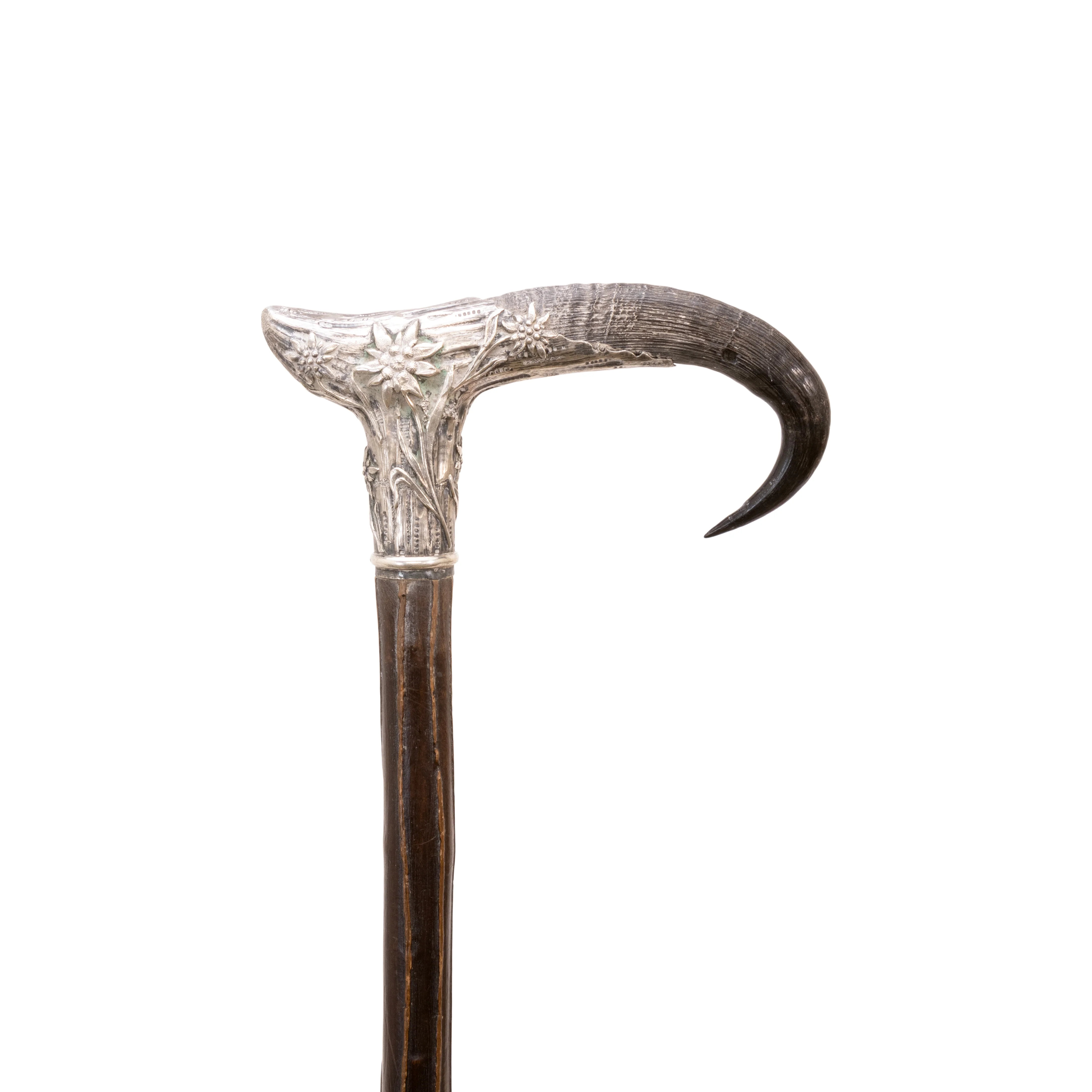 Horn and Silver Dress Cane - Image 5