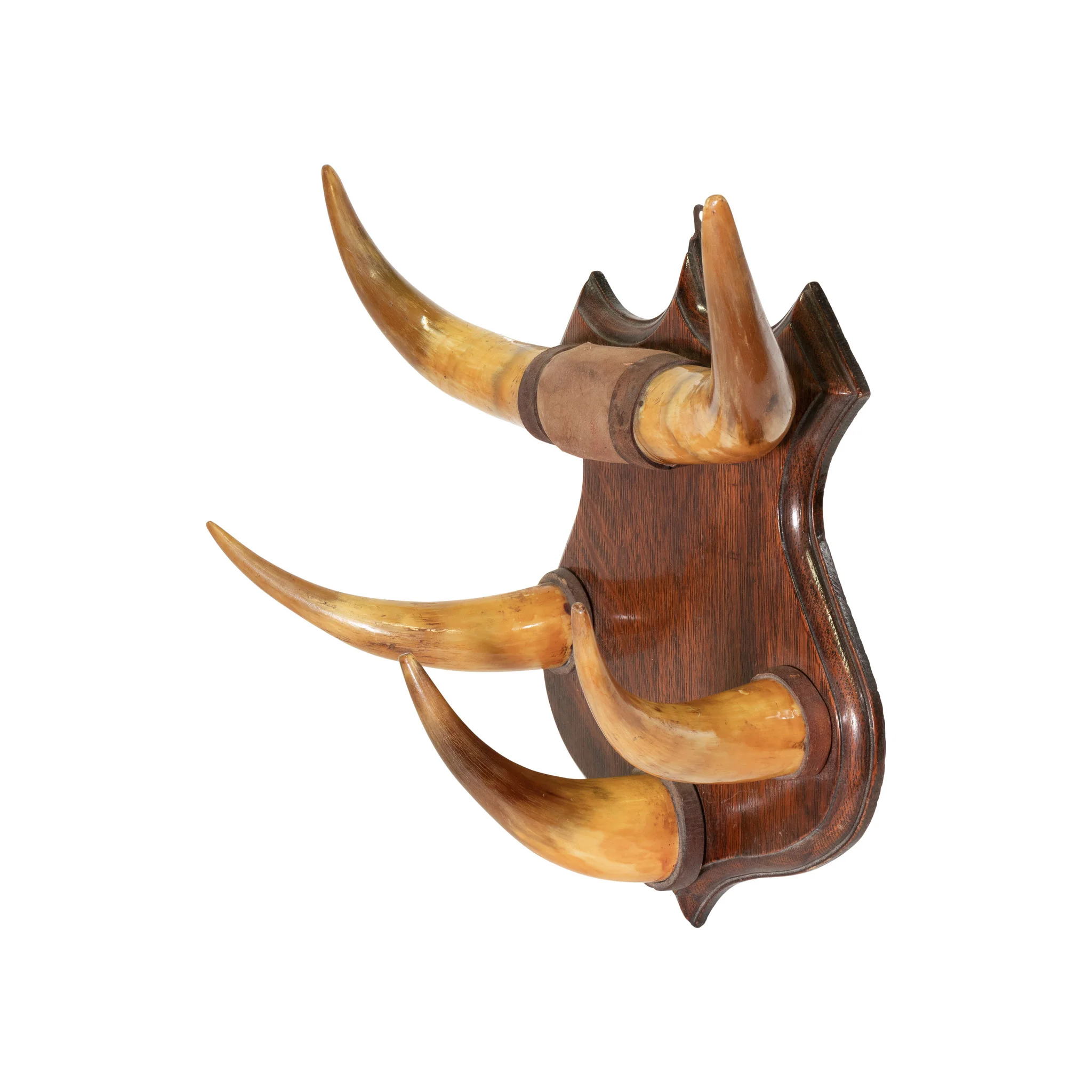 Horn Hat Rack - Image 2