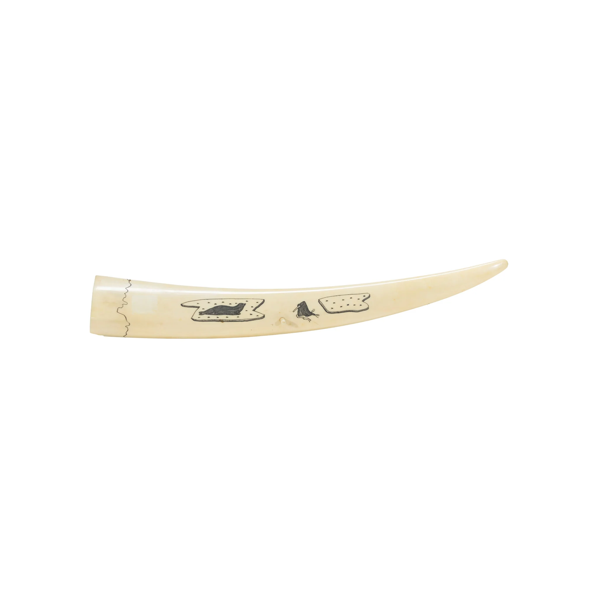 Inuit Walrus Ivory Cribbage Board - Image 4