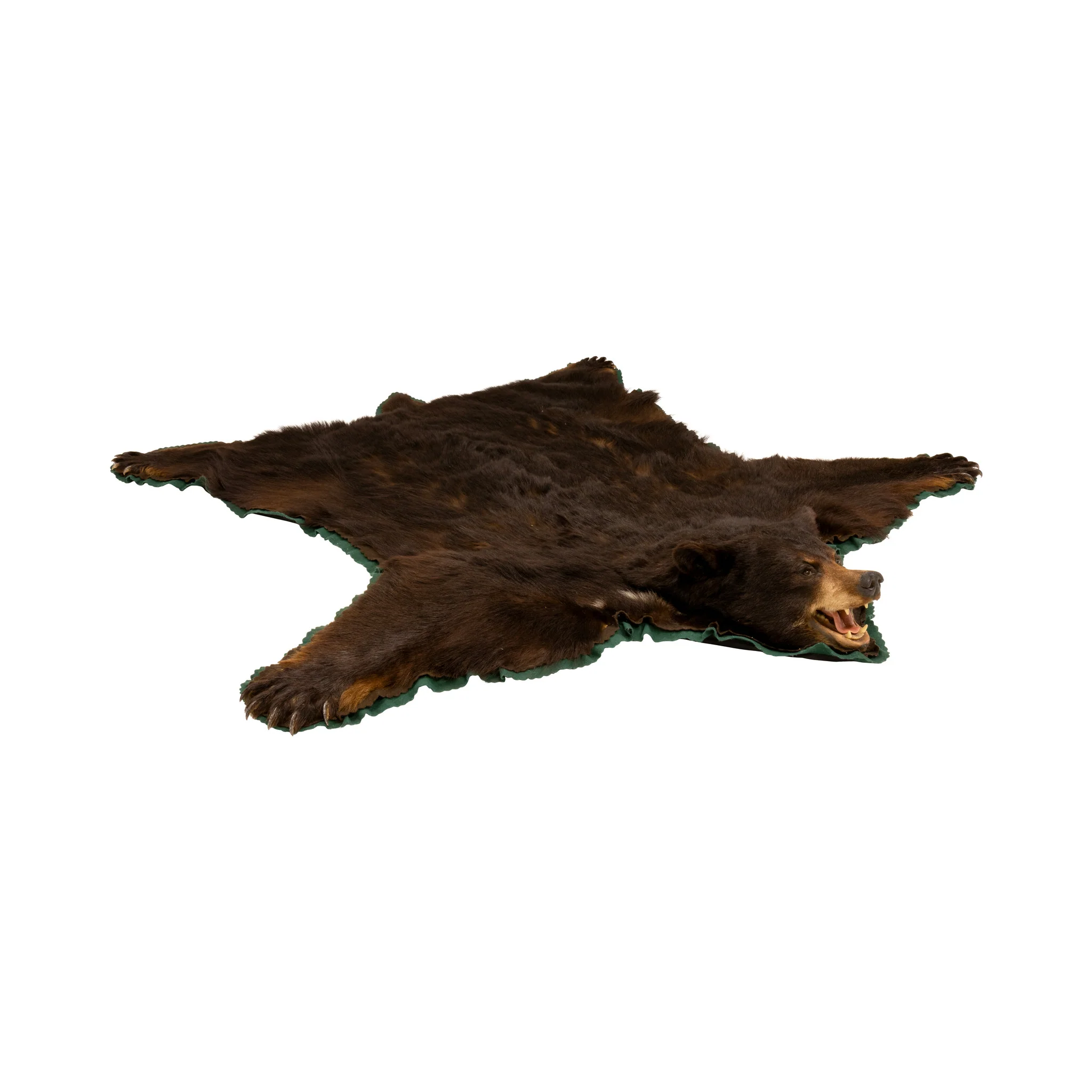 Large Black Bear Rug - Image 3