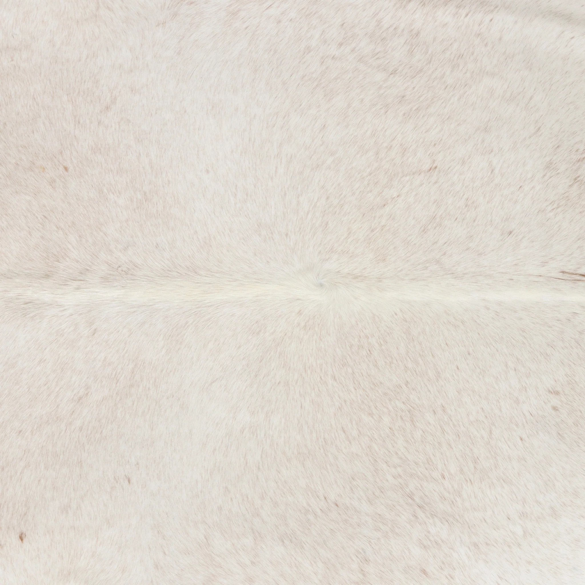 Longhorn Hide - Image 2