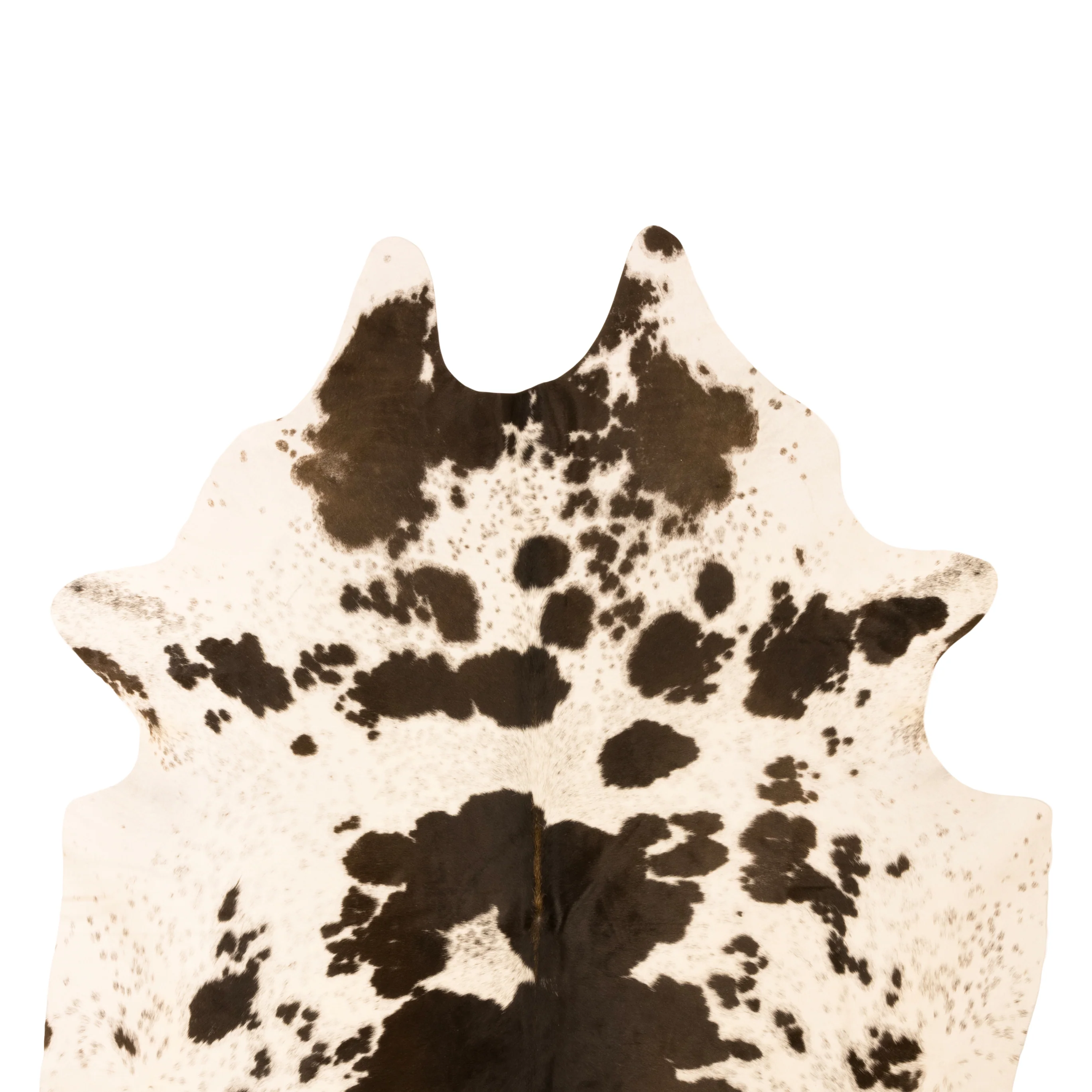 Longhorn Hide - Image 4