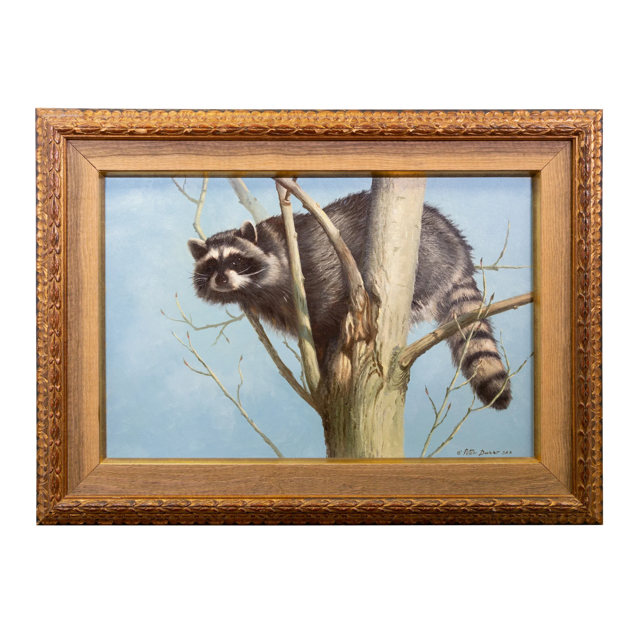 "Masked Bandit" by Peter Darro - Image 2