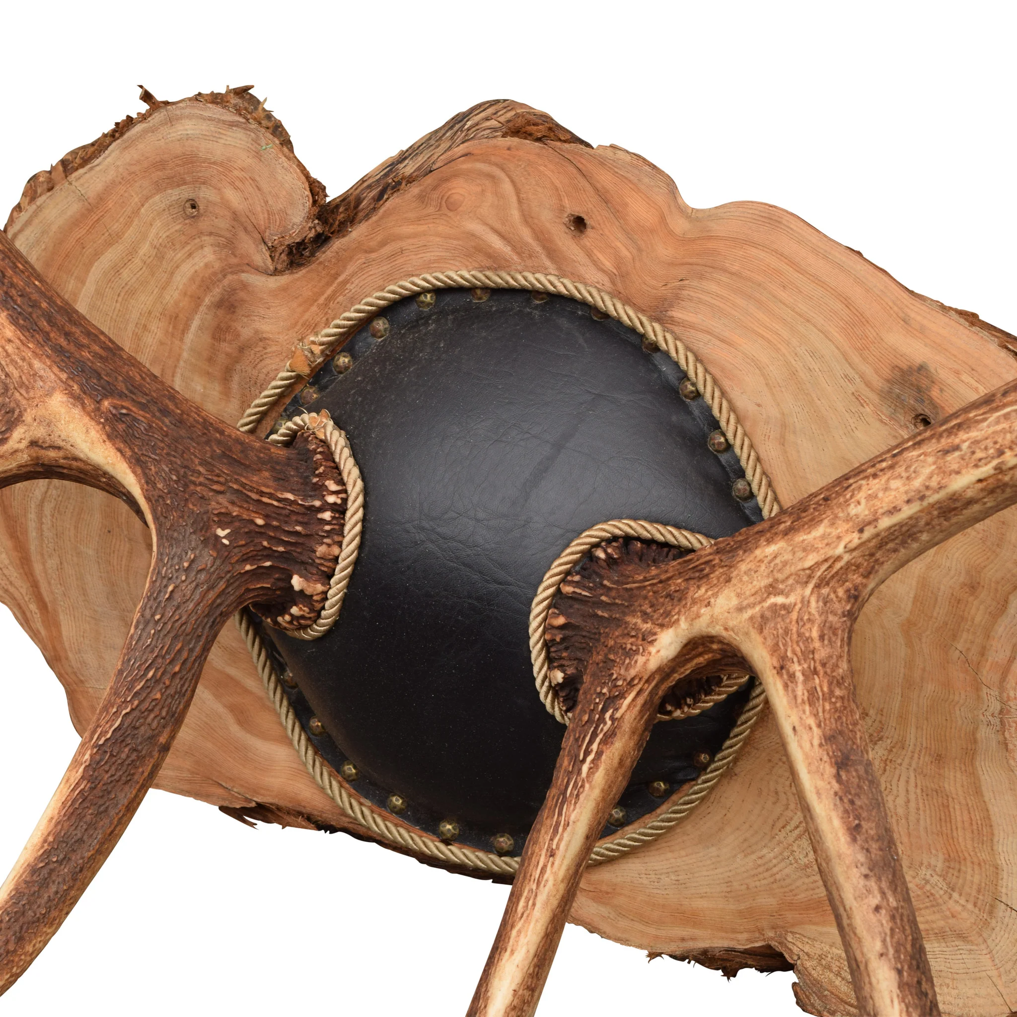 Massive Elk Antler Rack - Image 2