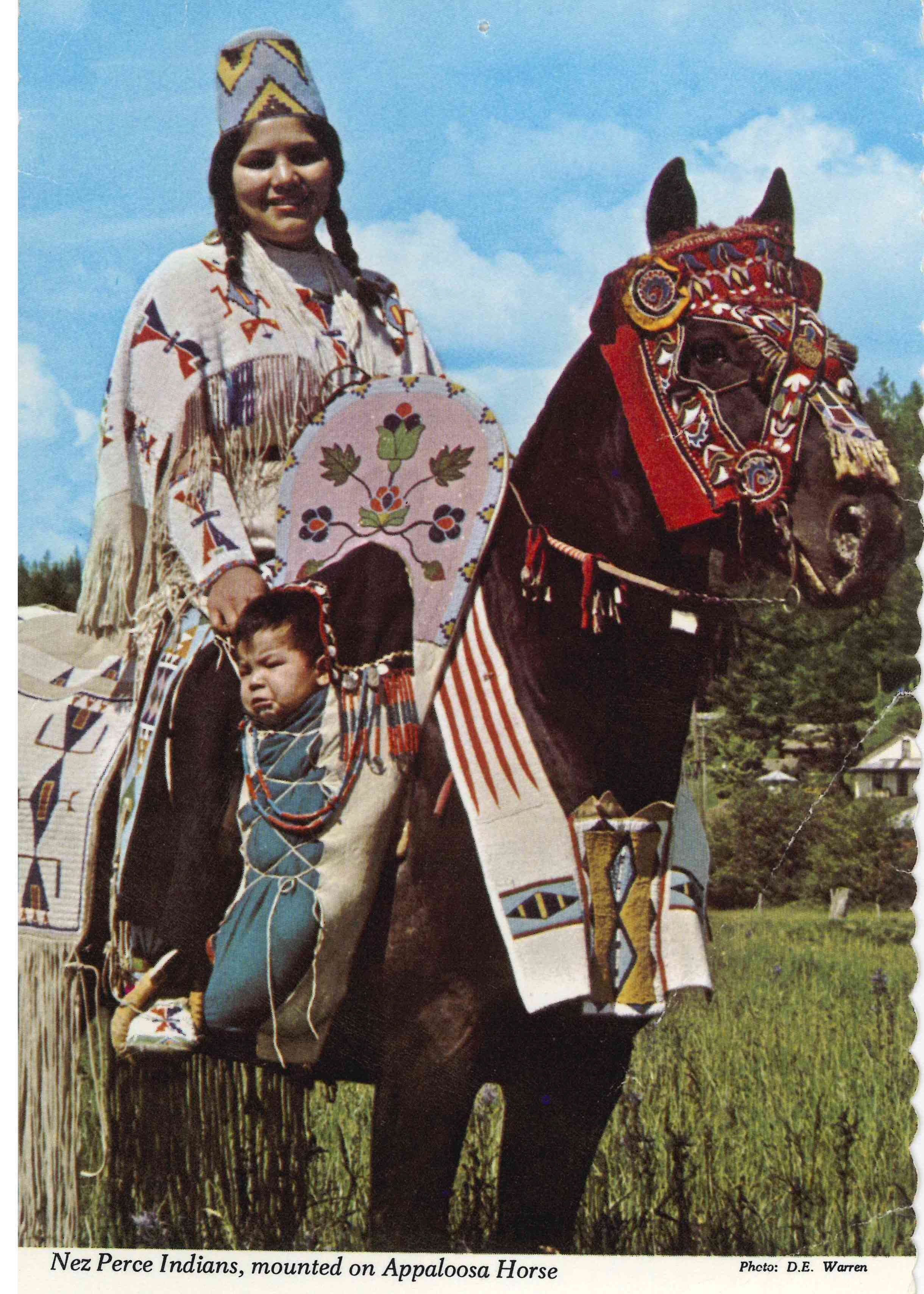 Nez Perce Beaded Blanket Strip - Image 5