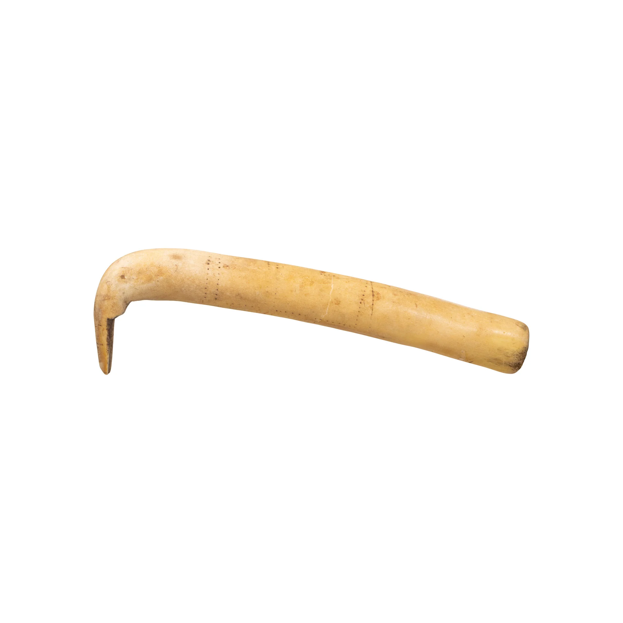 Northern Plains Hide Scraper - Image 4