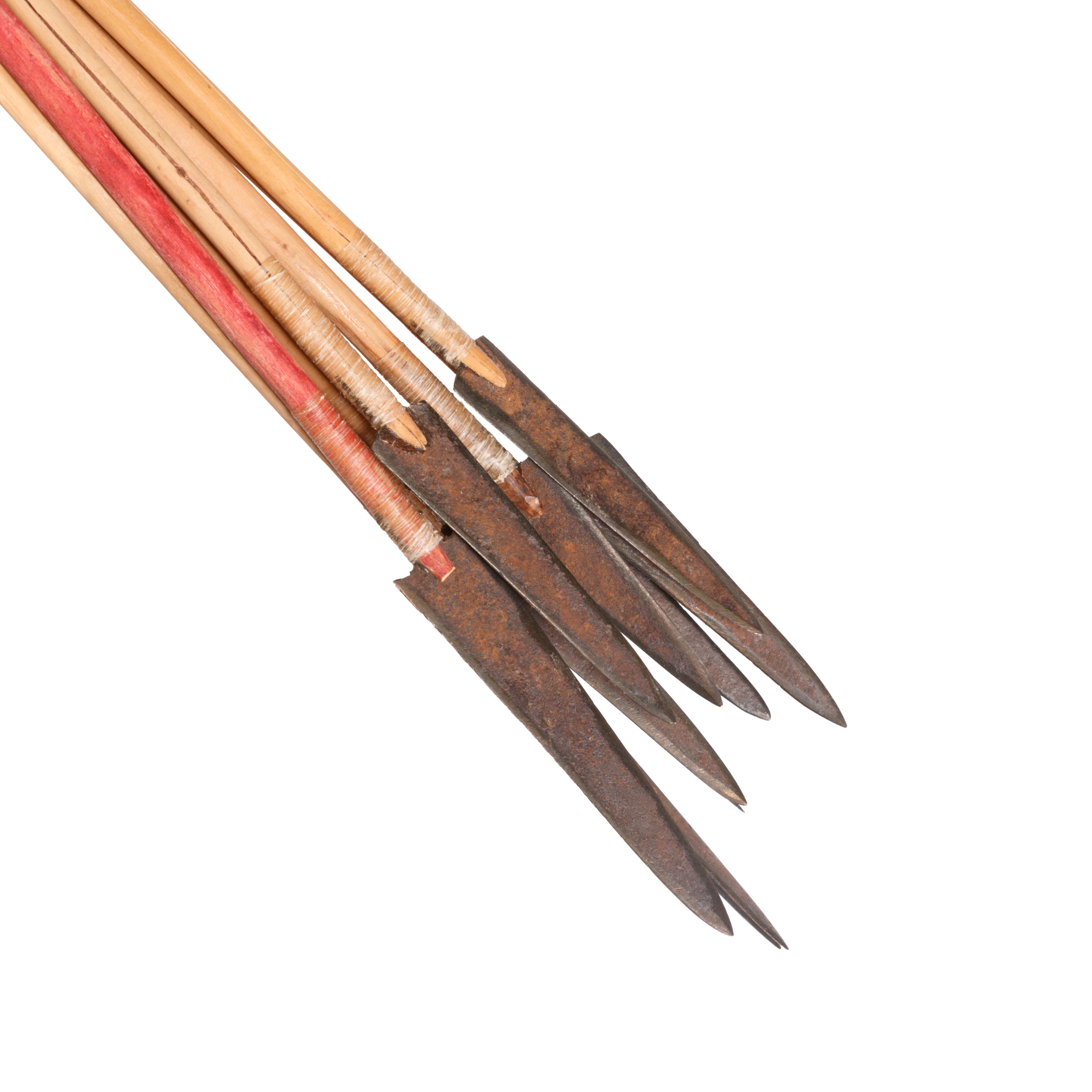 Painted Plains Bow - Image 5