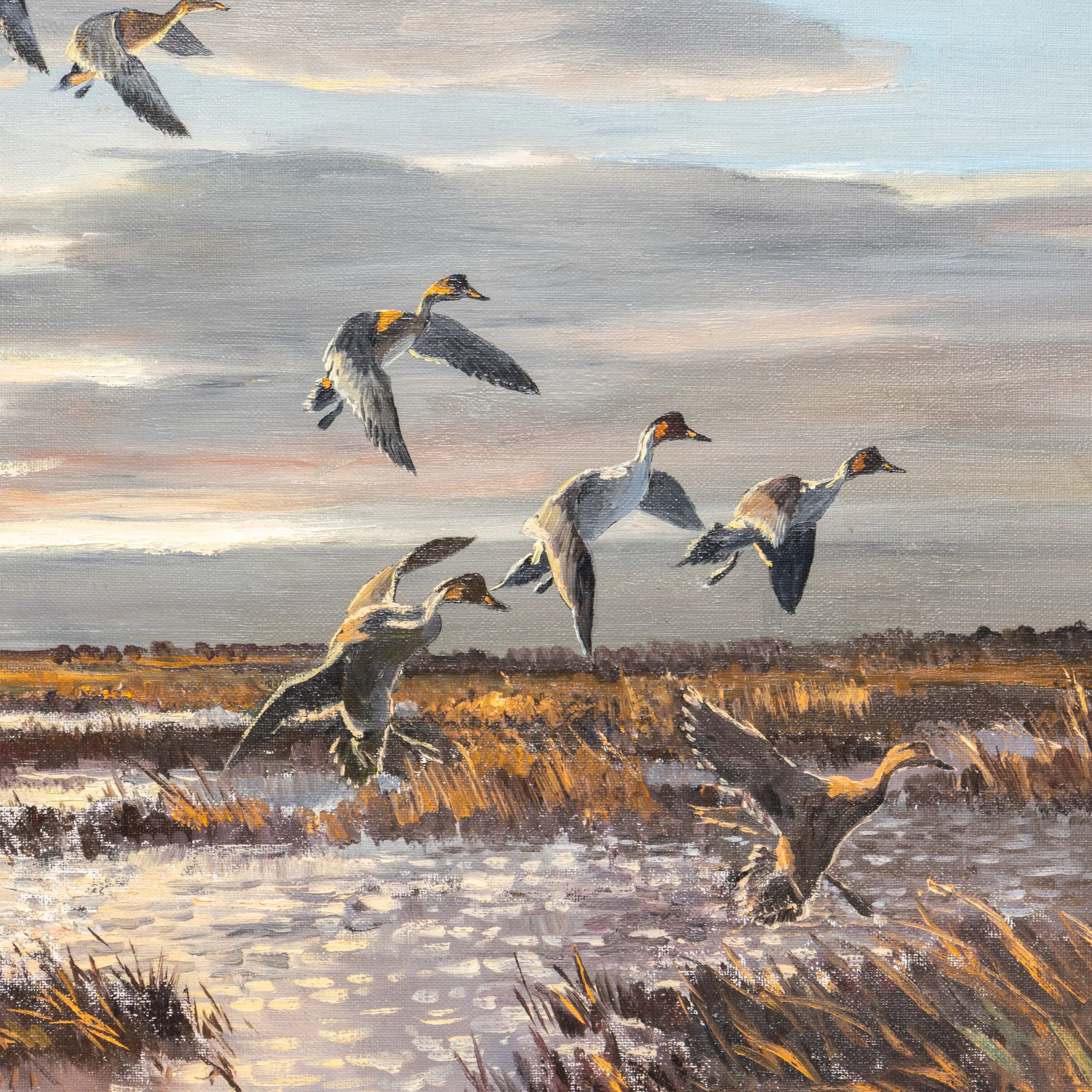 Pintails by Hugh Monahan - Image 3