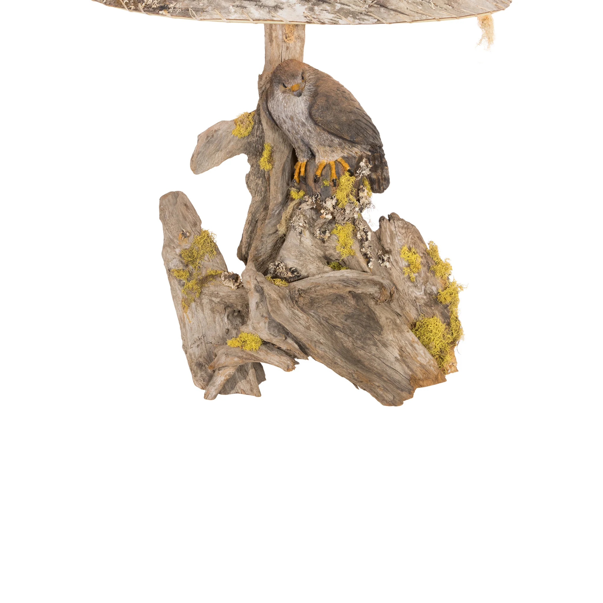 Prairie Falcon Table Lamp - Image 3