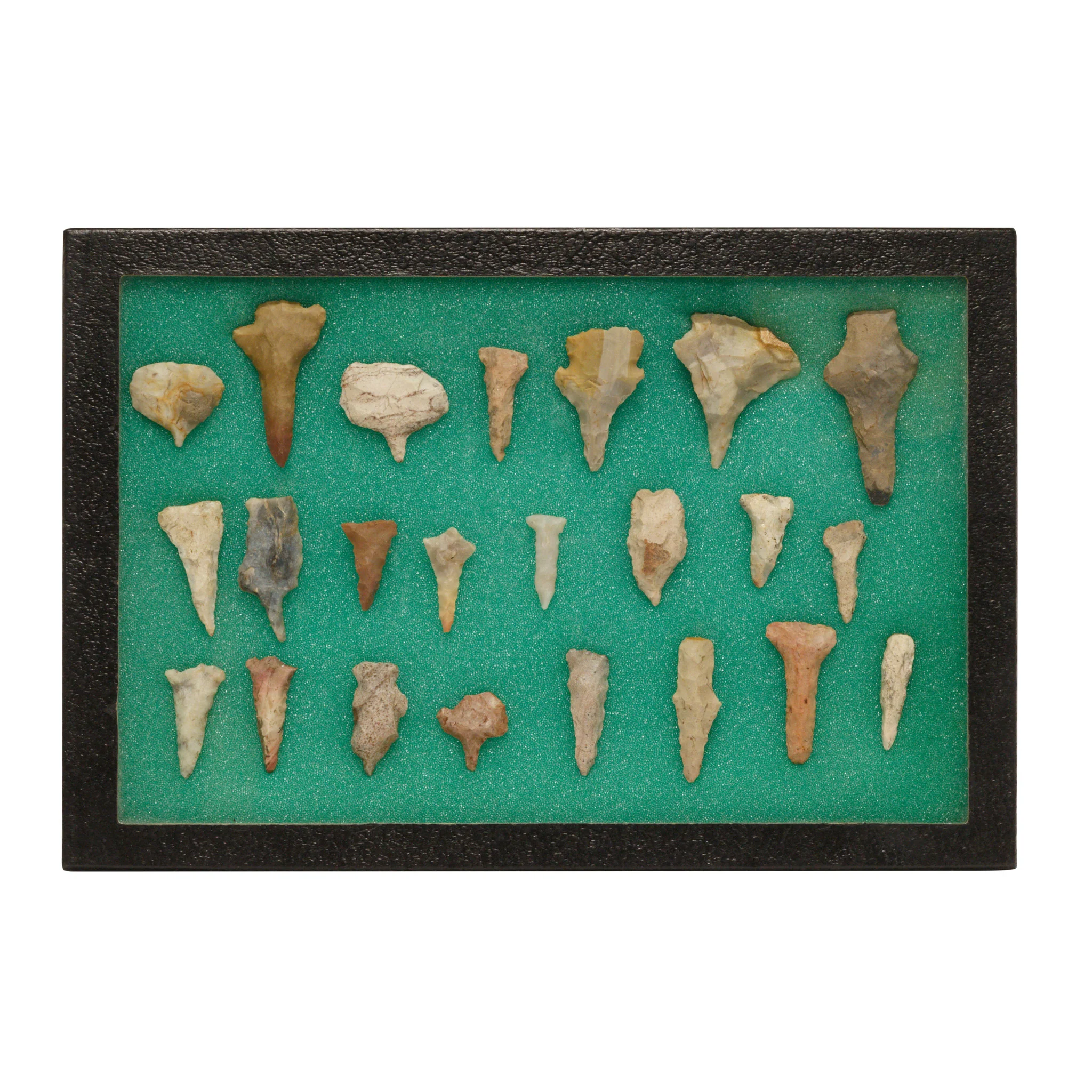 Prehistoric Texas Drills