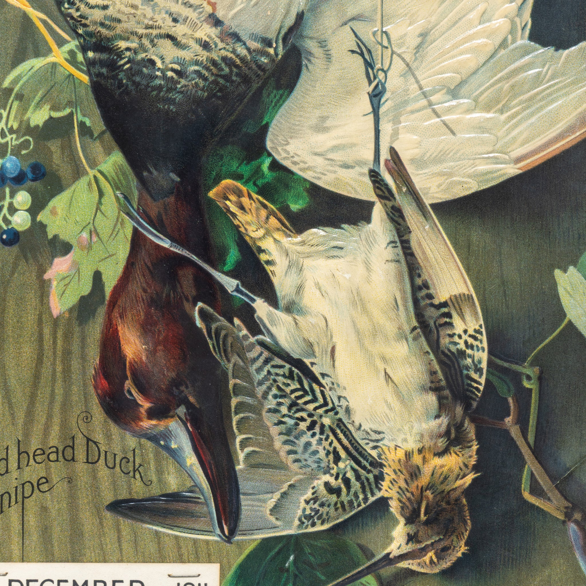 Redhead and Snipe Calendar - Image 5