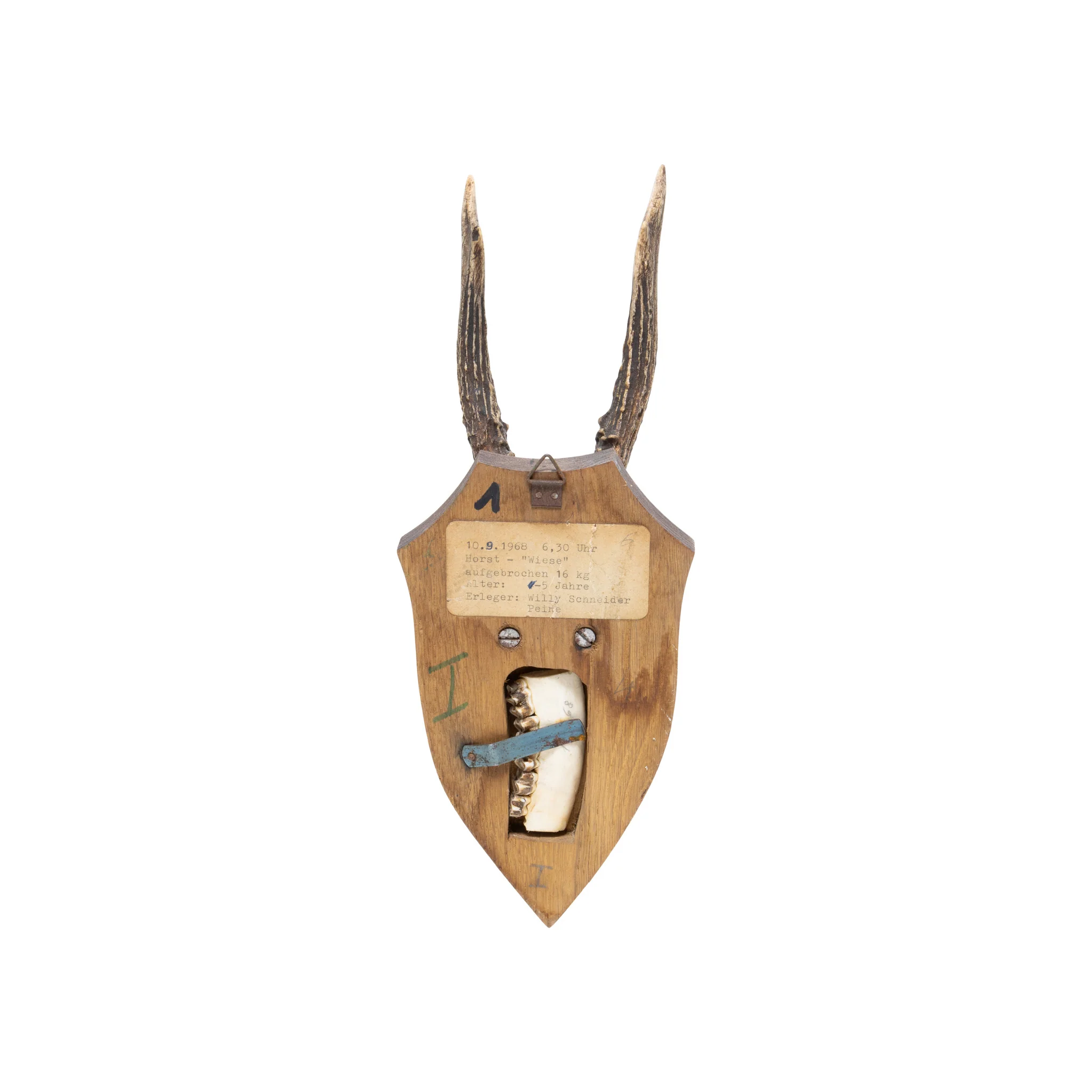 Roe Deer Collection - Image 29