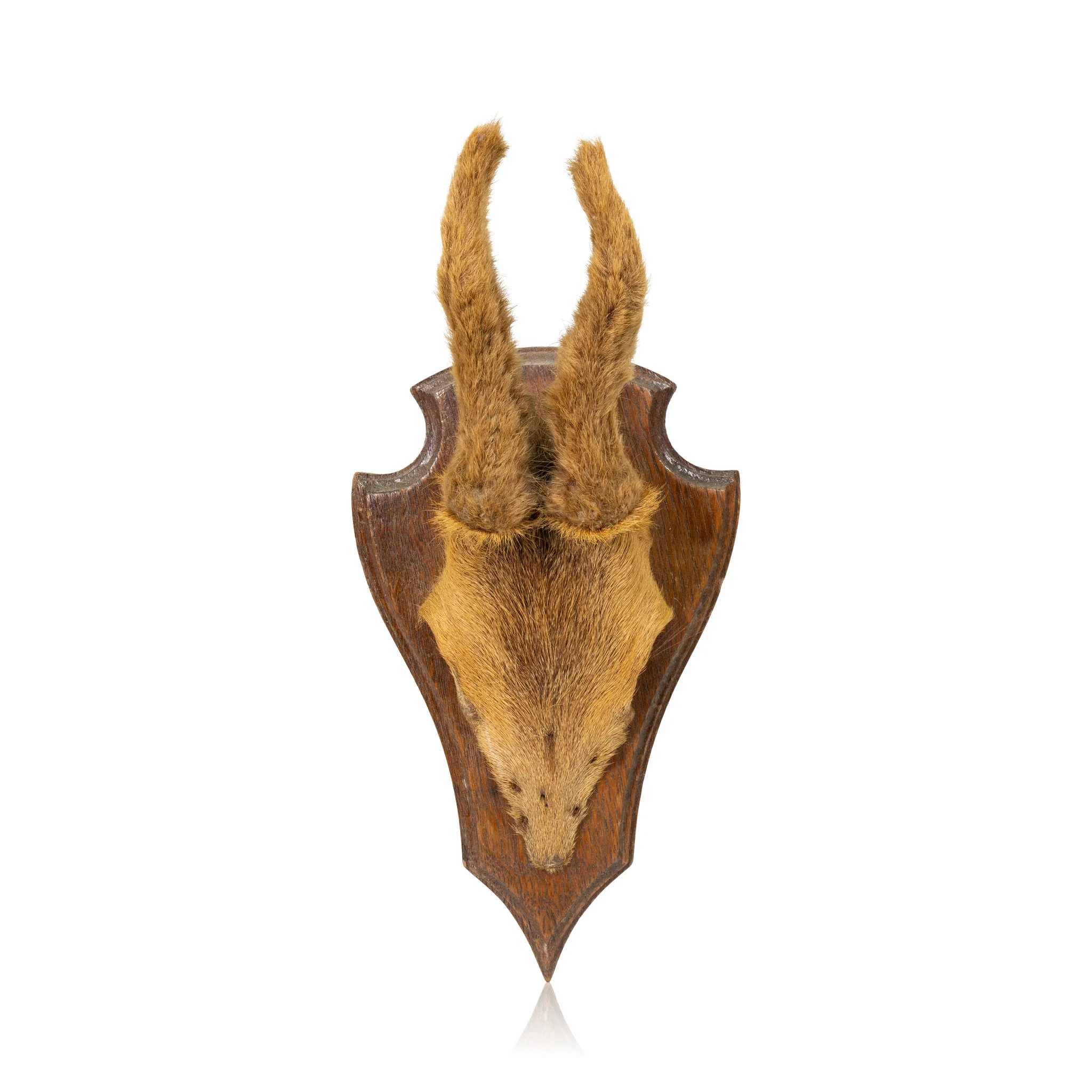 Roe Deer Plaque