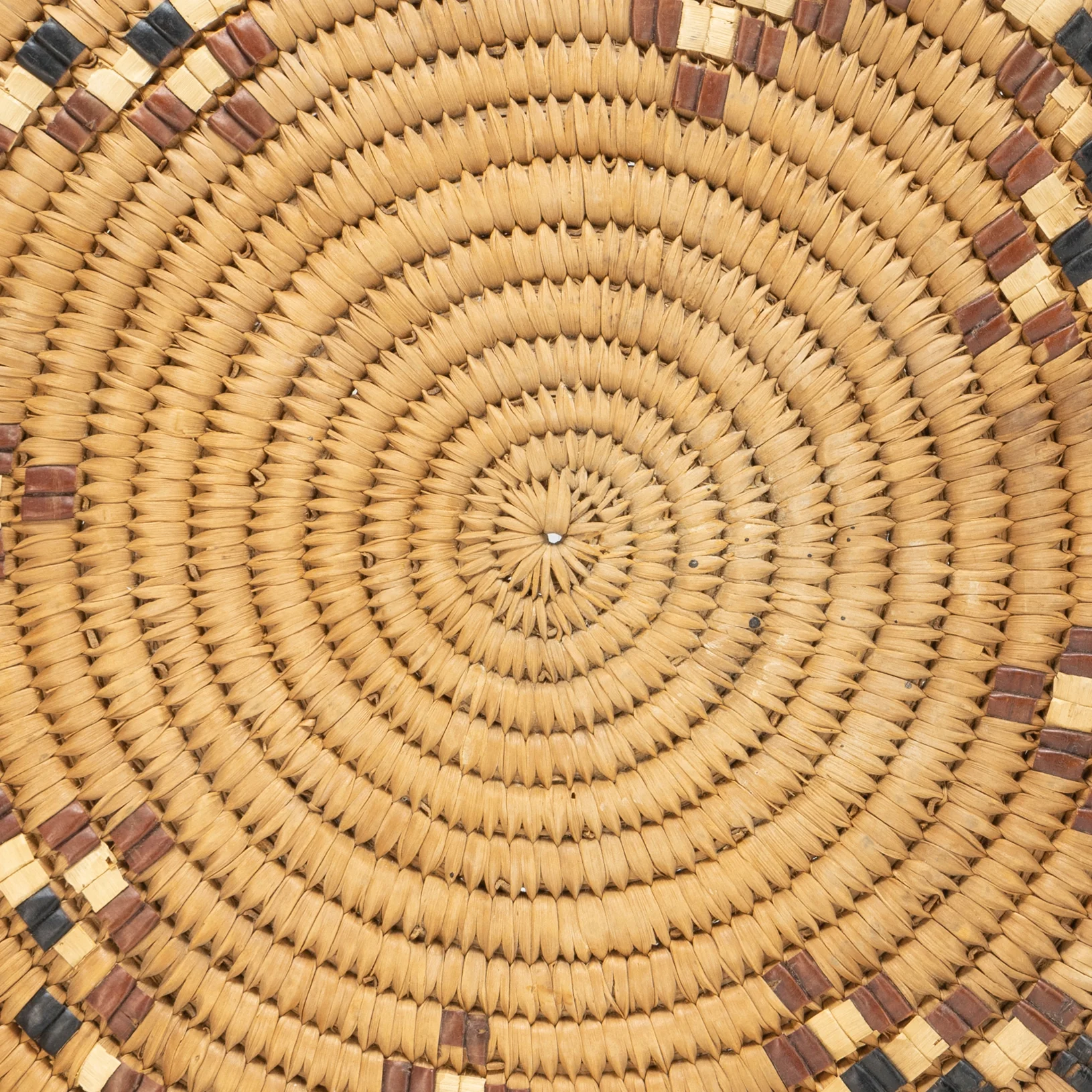 Salish Basket - Image 4