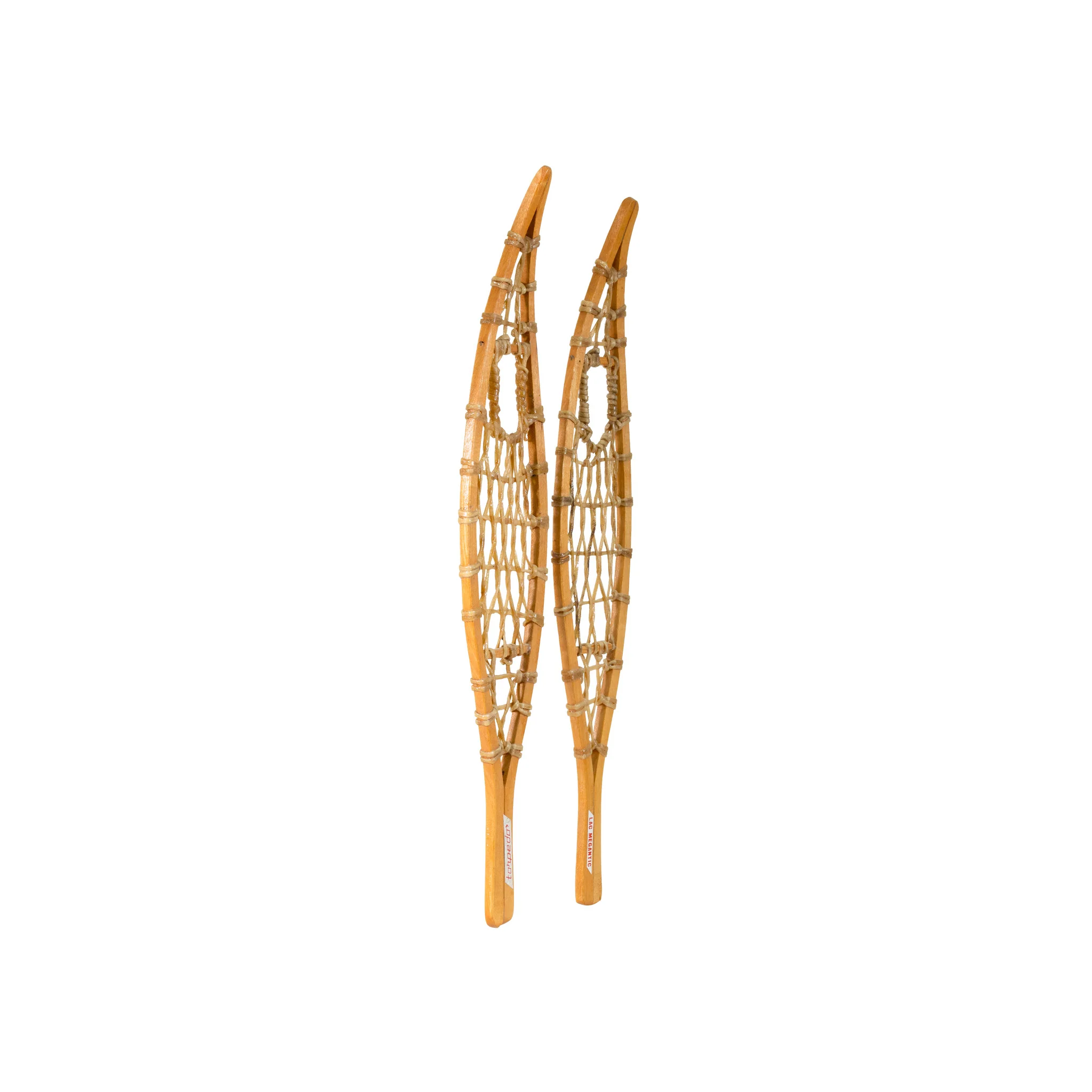Sample Snowshoes - Image 2