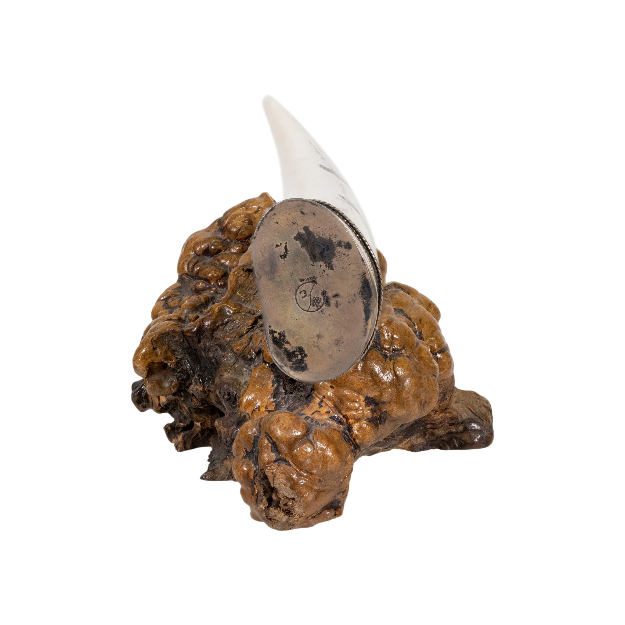 Scrimshawed Walrus Tusks - Image 7