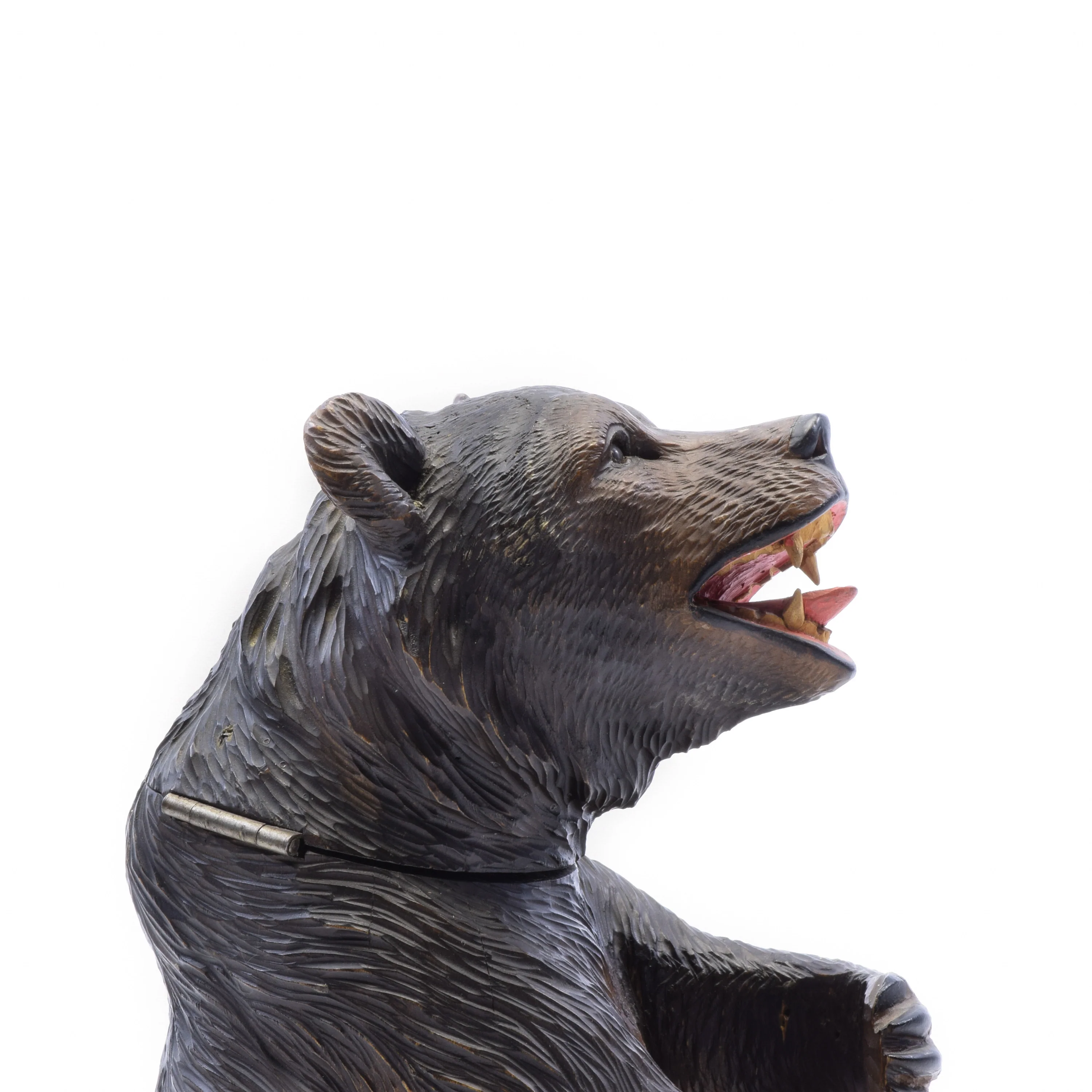 Seated Bear Humidor - Image 4