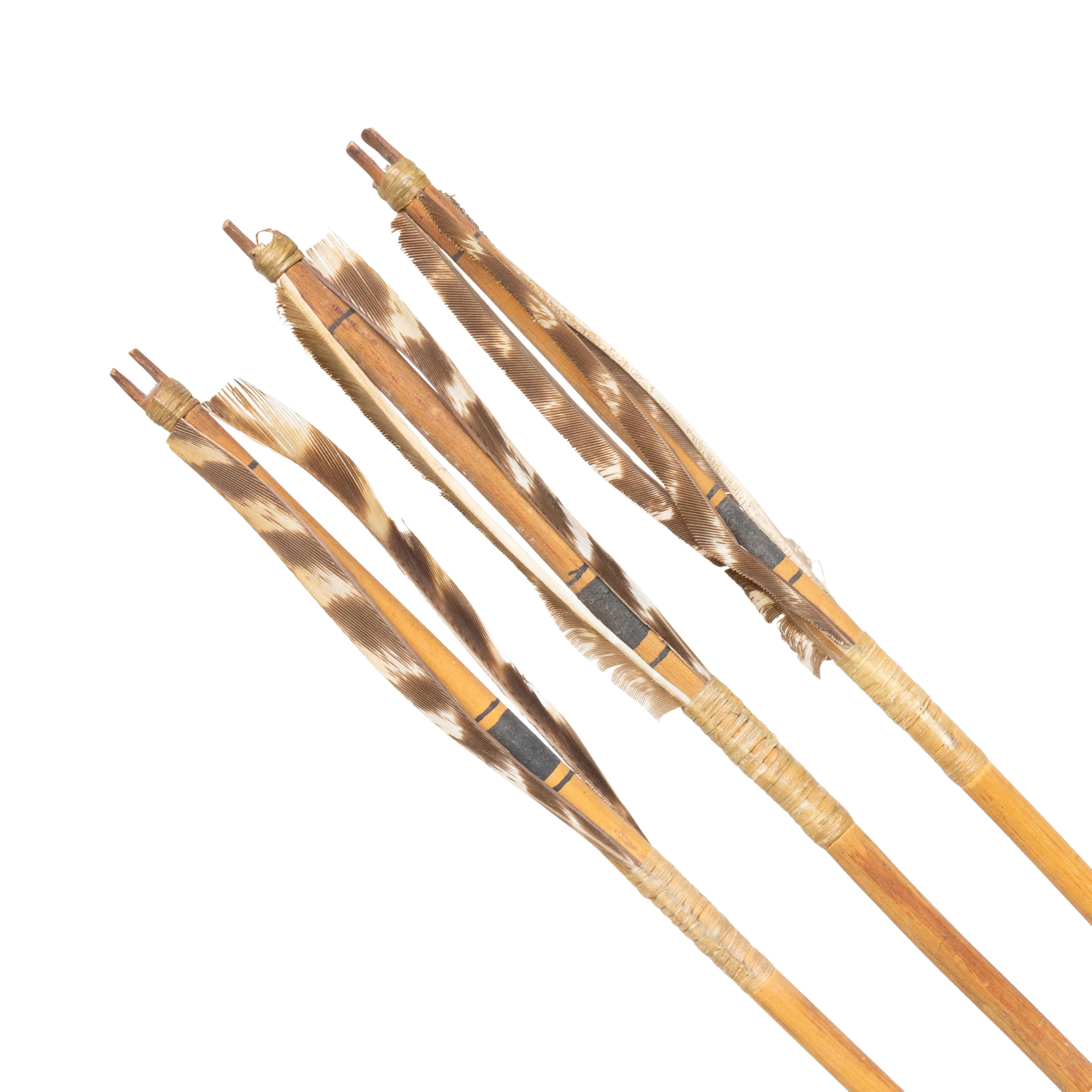 Six Northern Plans Arrows - Image 4