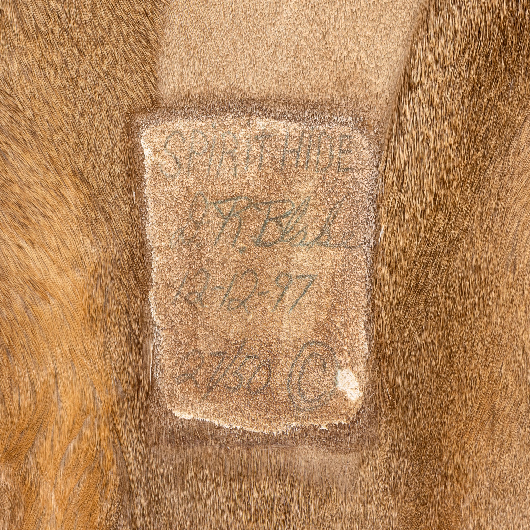 Spirit Hide by David Blake - Image 4