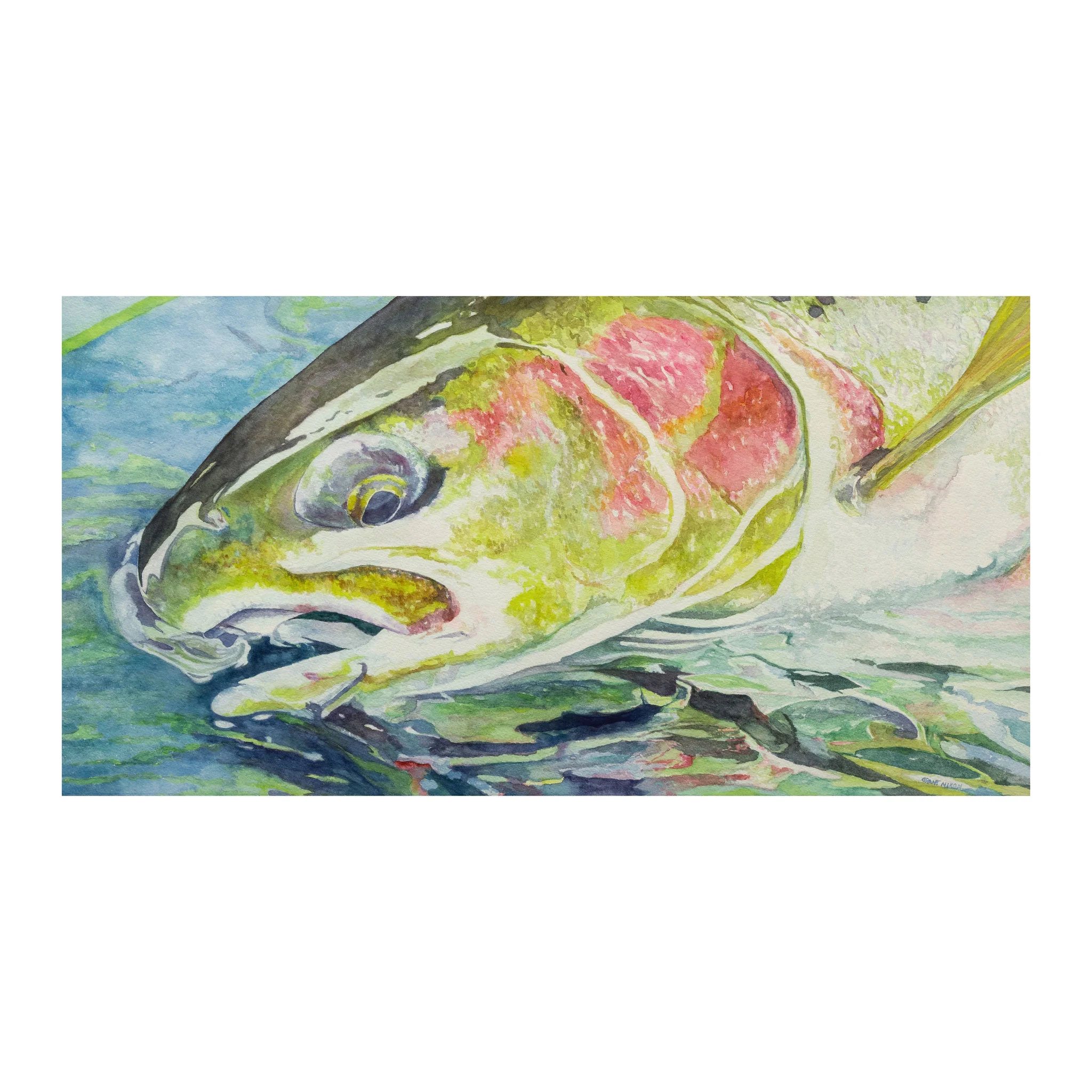 Steelhead on the Clearwater by Grant Nixon
