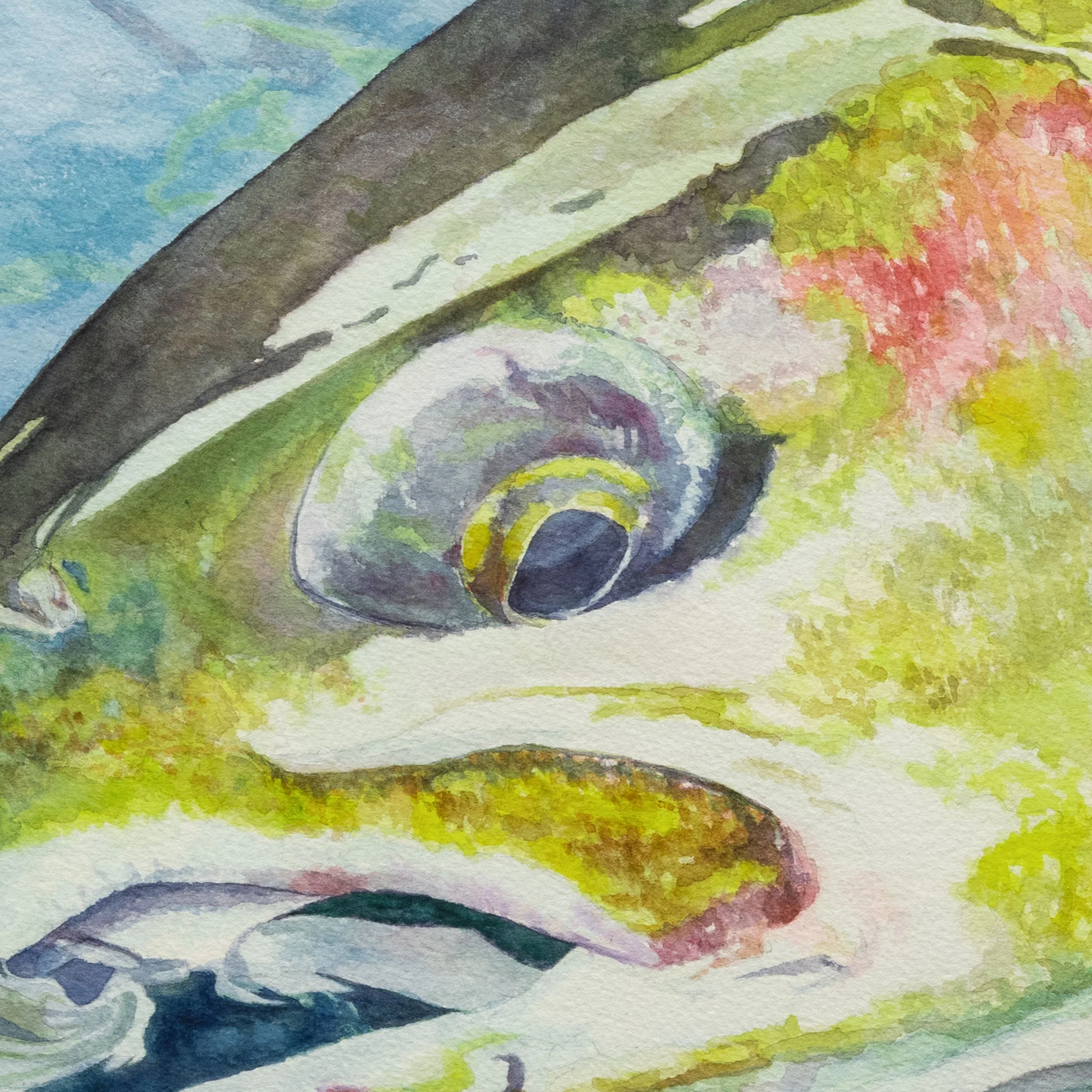 Steelhead on the Clearwater by Grant Nixon - Image 3