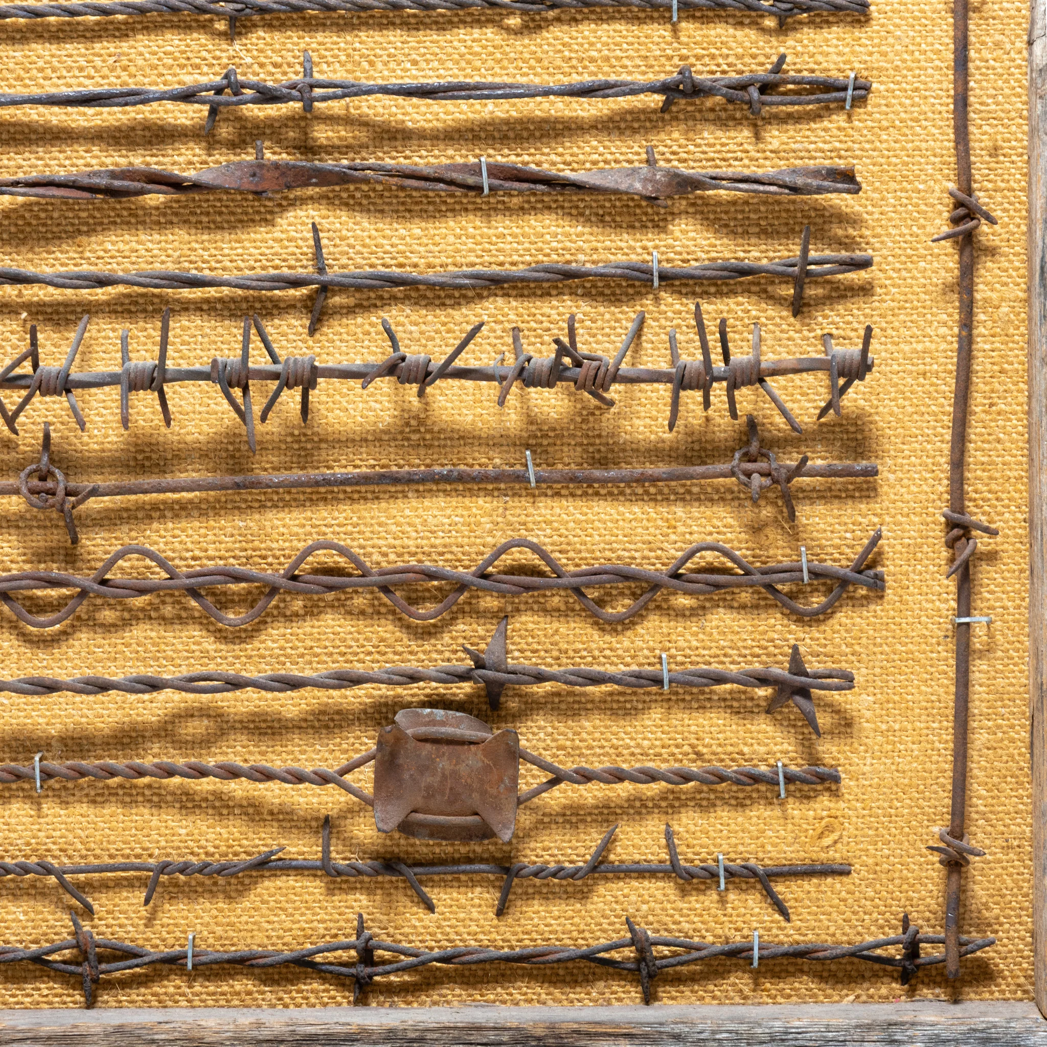 Texas Framed Barbed Wire Display - Image 5