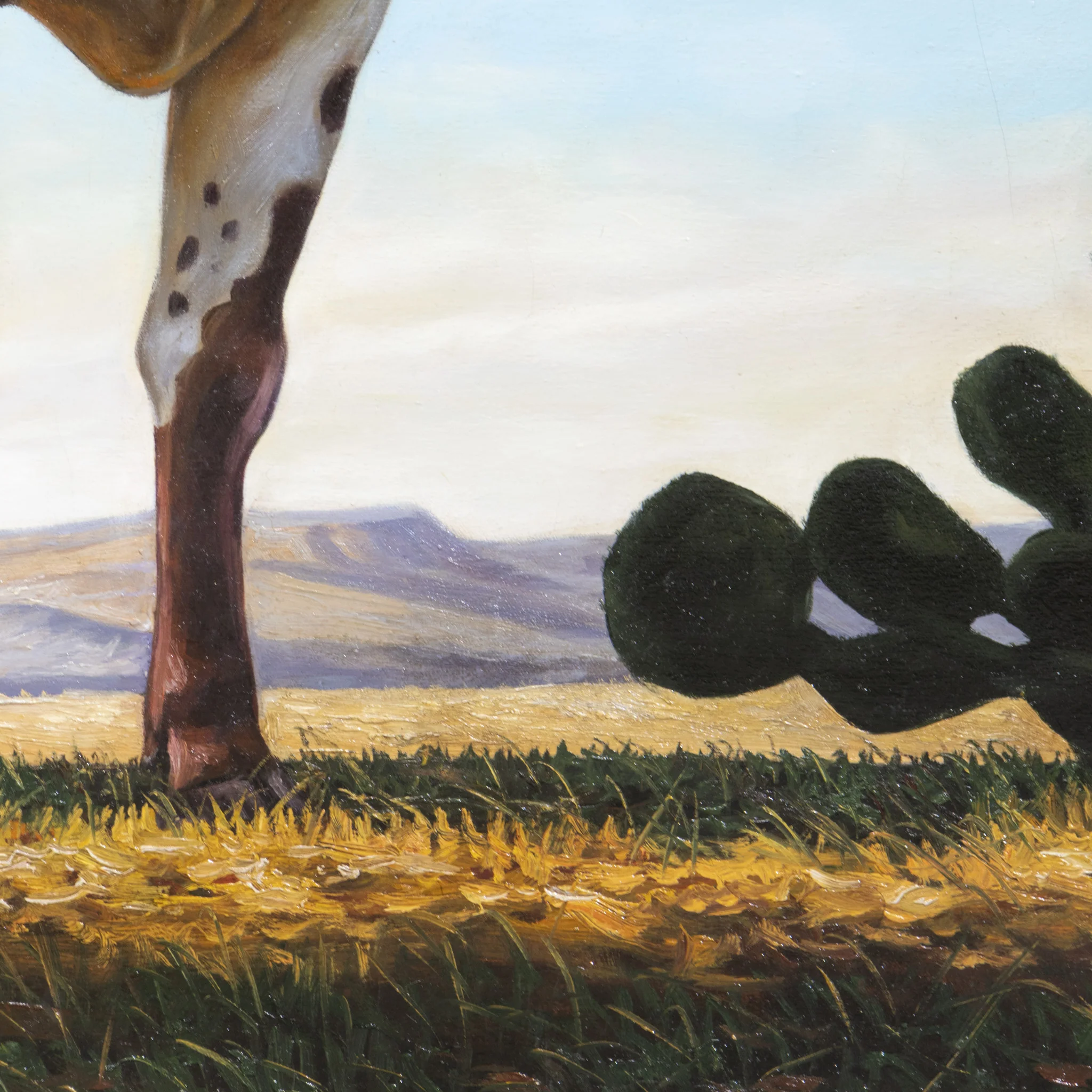 Texas Longhorn by E. Tapia - Image 4