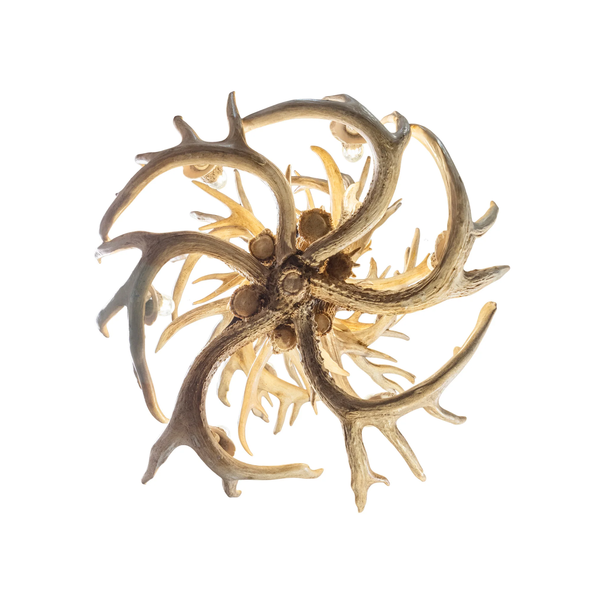 Two-Tiered Whitetail Chandelier - Image 6